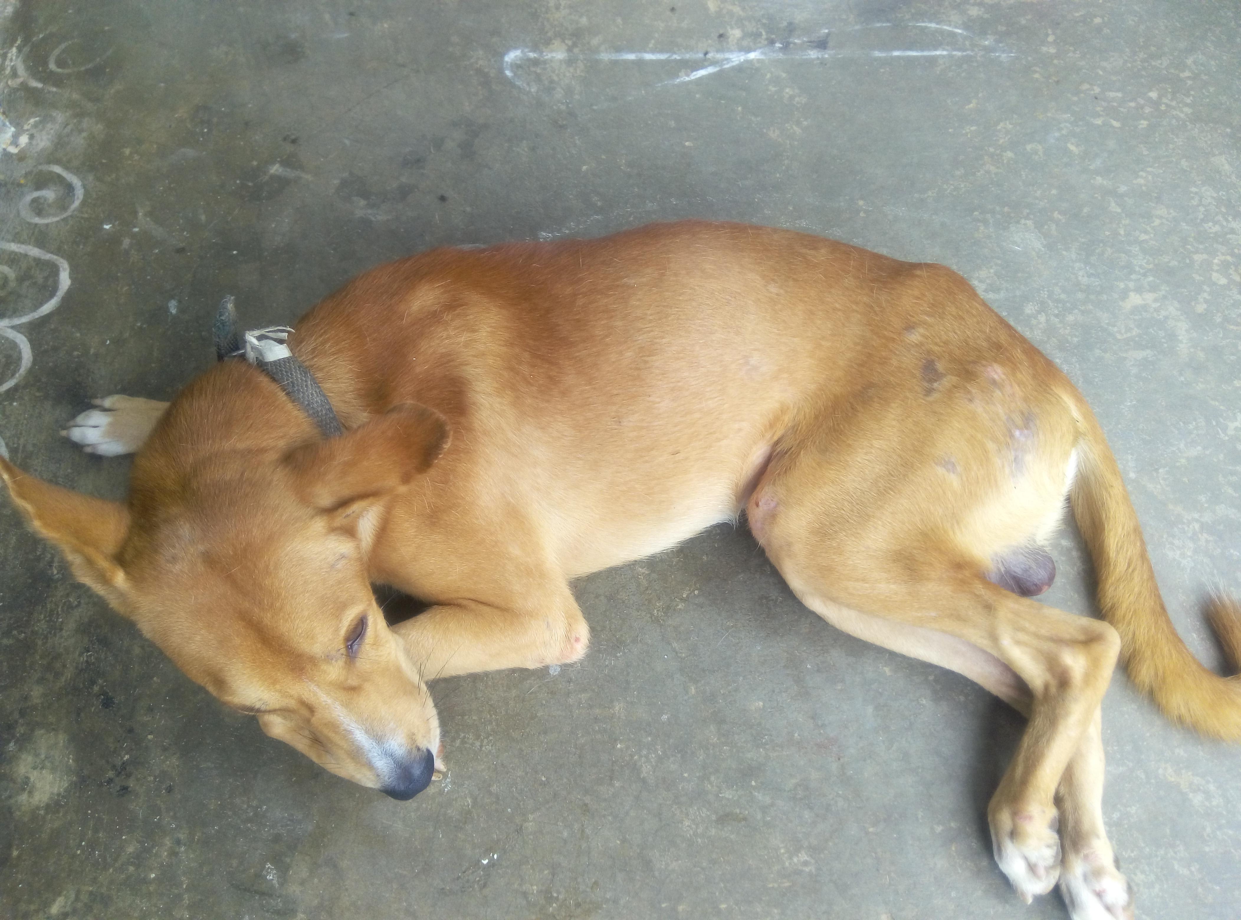 Question details sensitive content