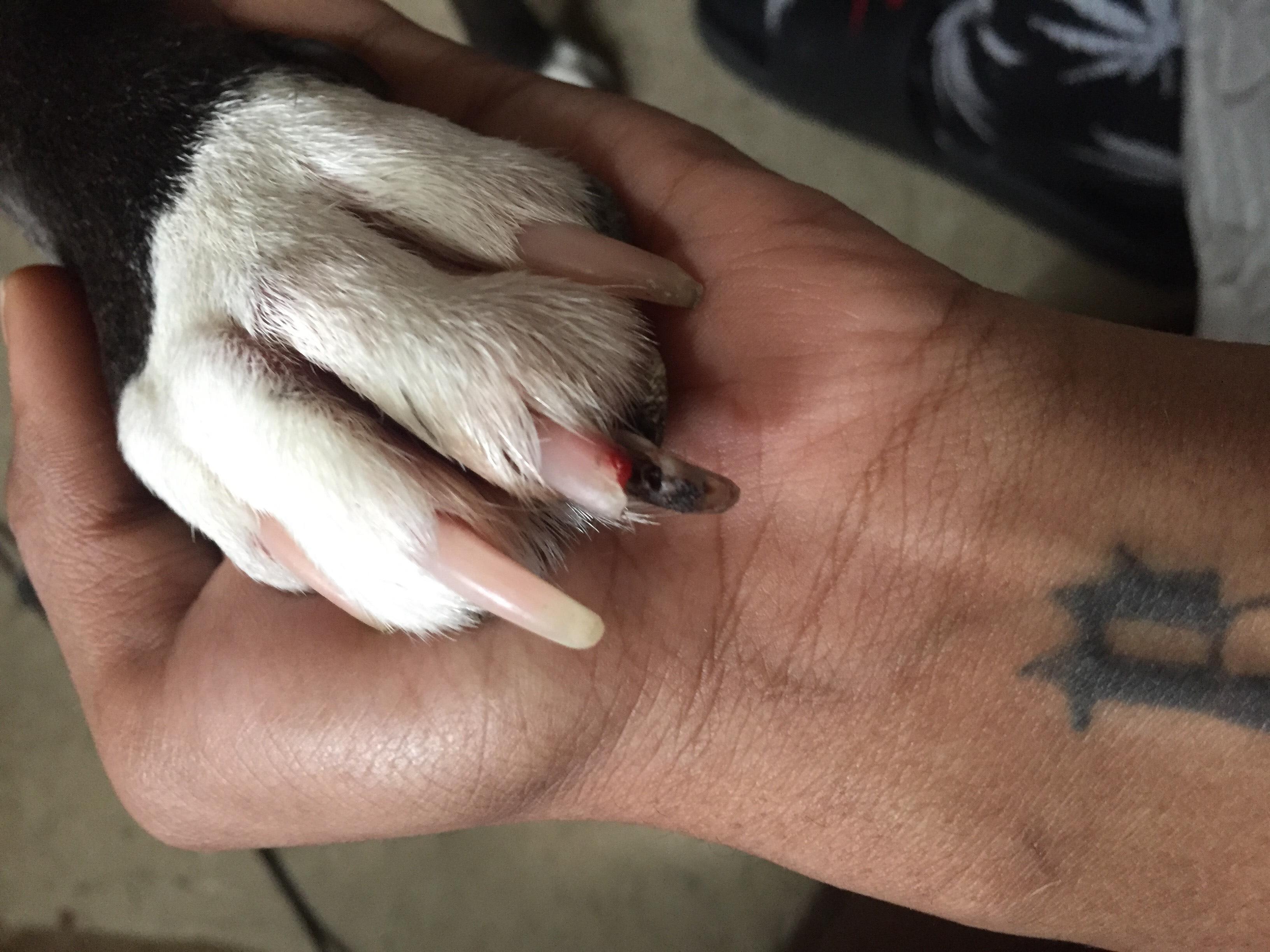 Question details sensitive content