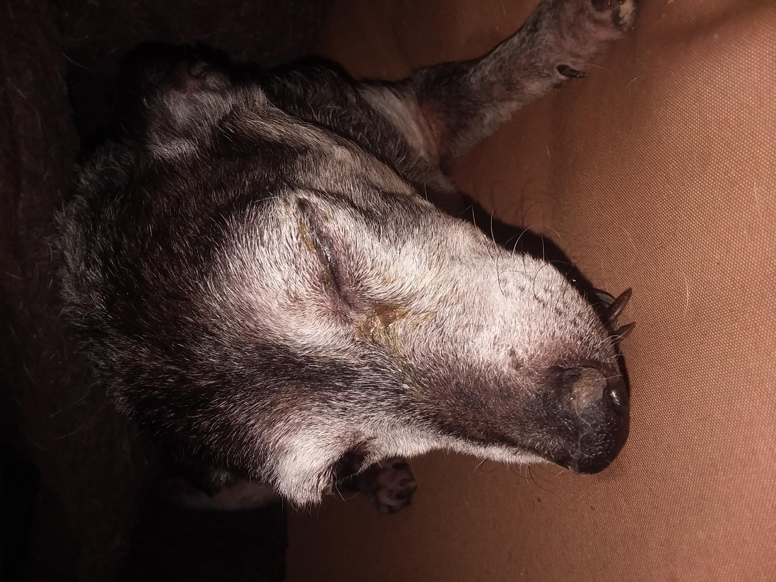 Question details sensitive content