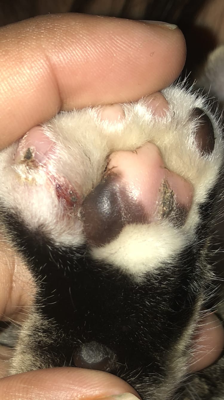 Question details sensitive content