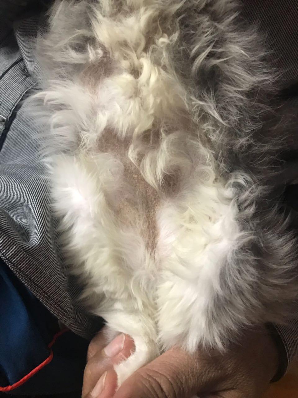 Question details sensitive content