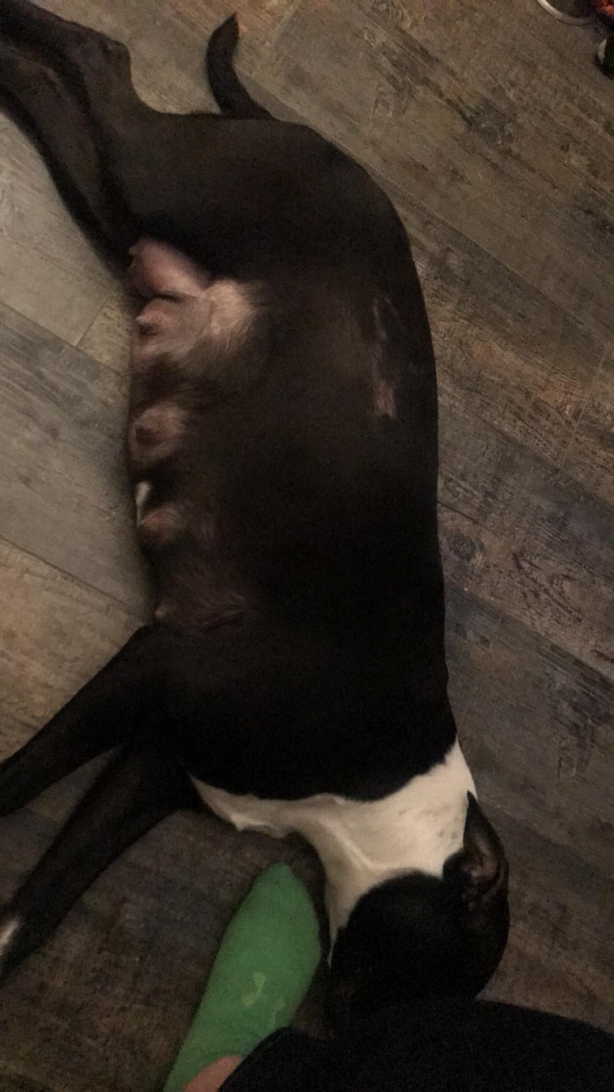 Question details sensitive content