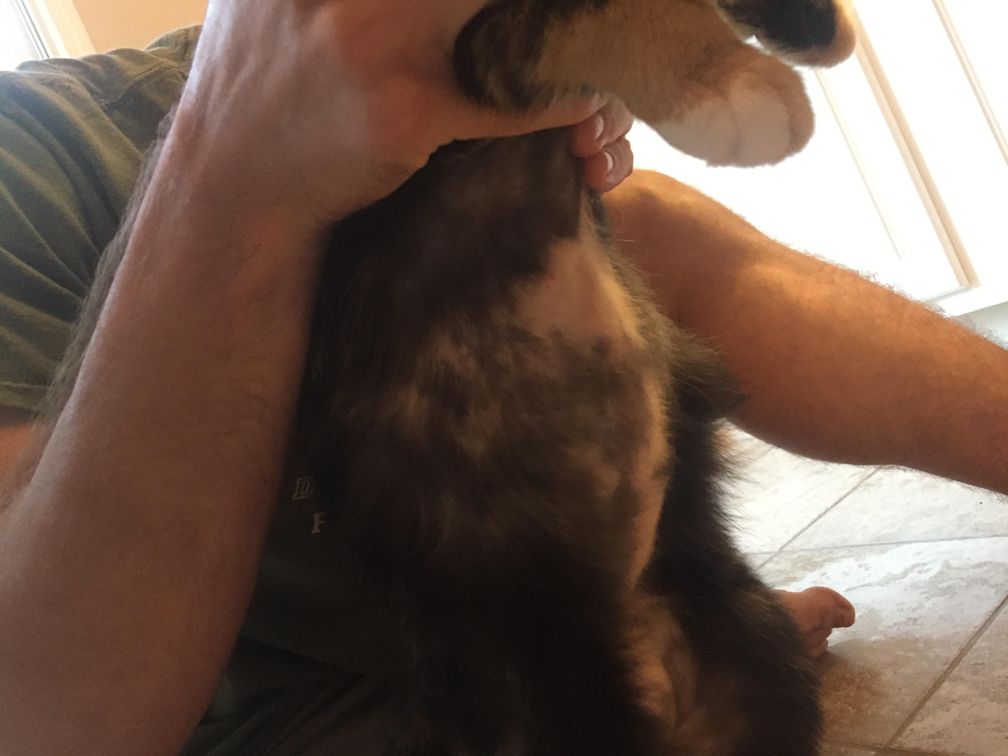 Question details sensitive content