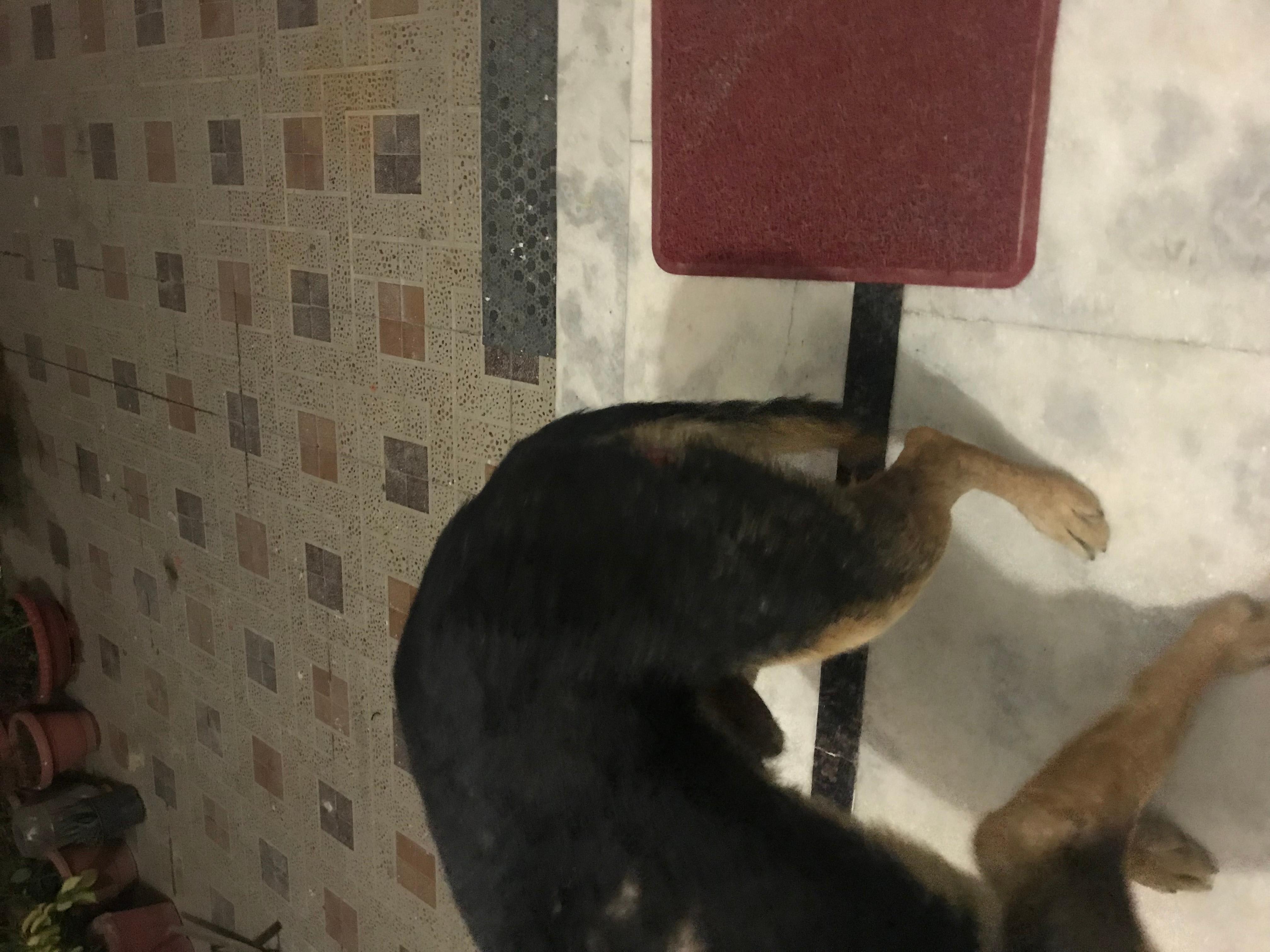 Question details sensitive content