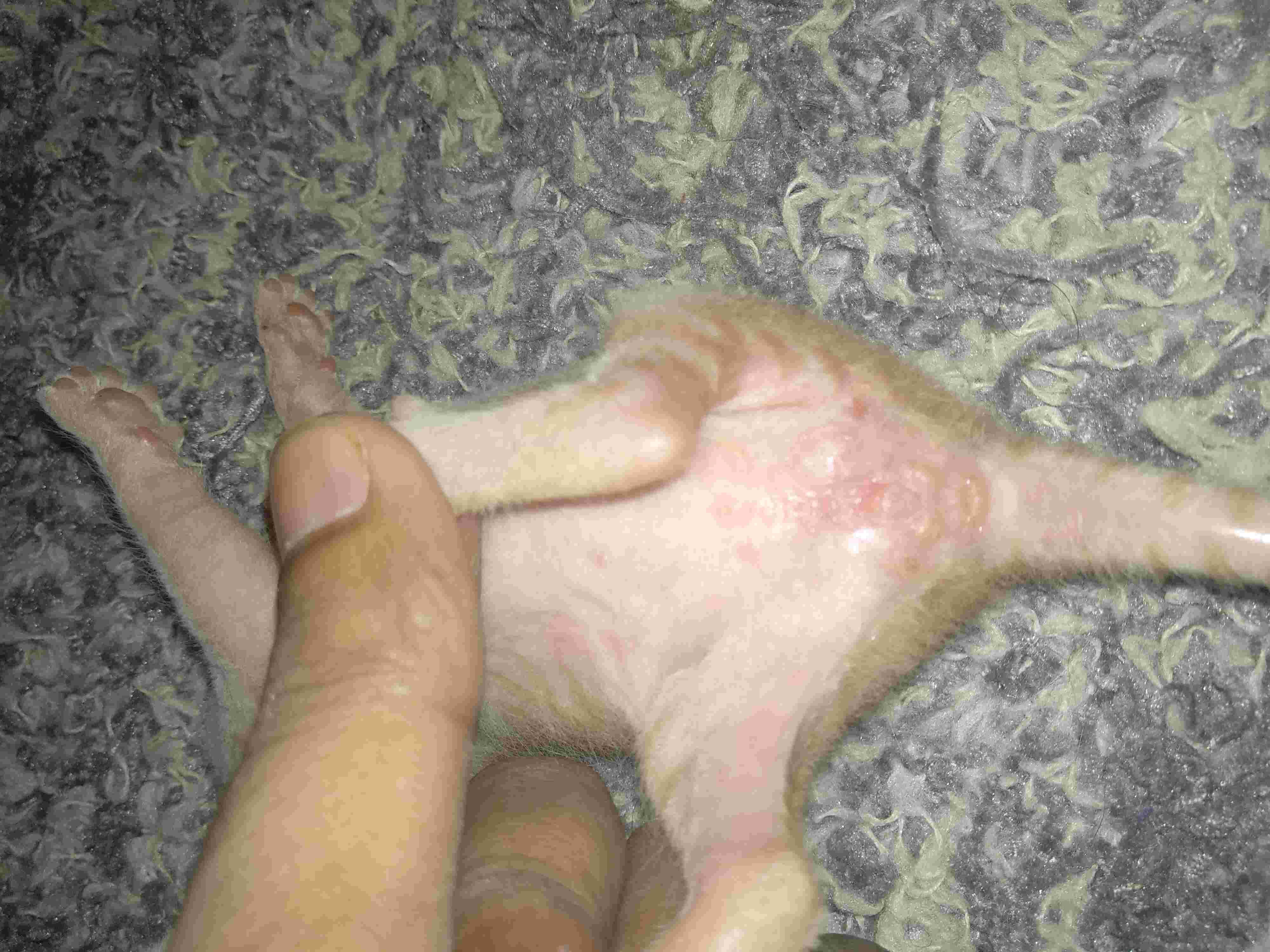 Question details sensitive content