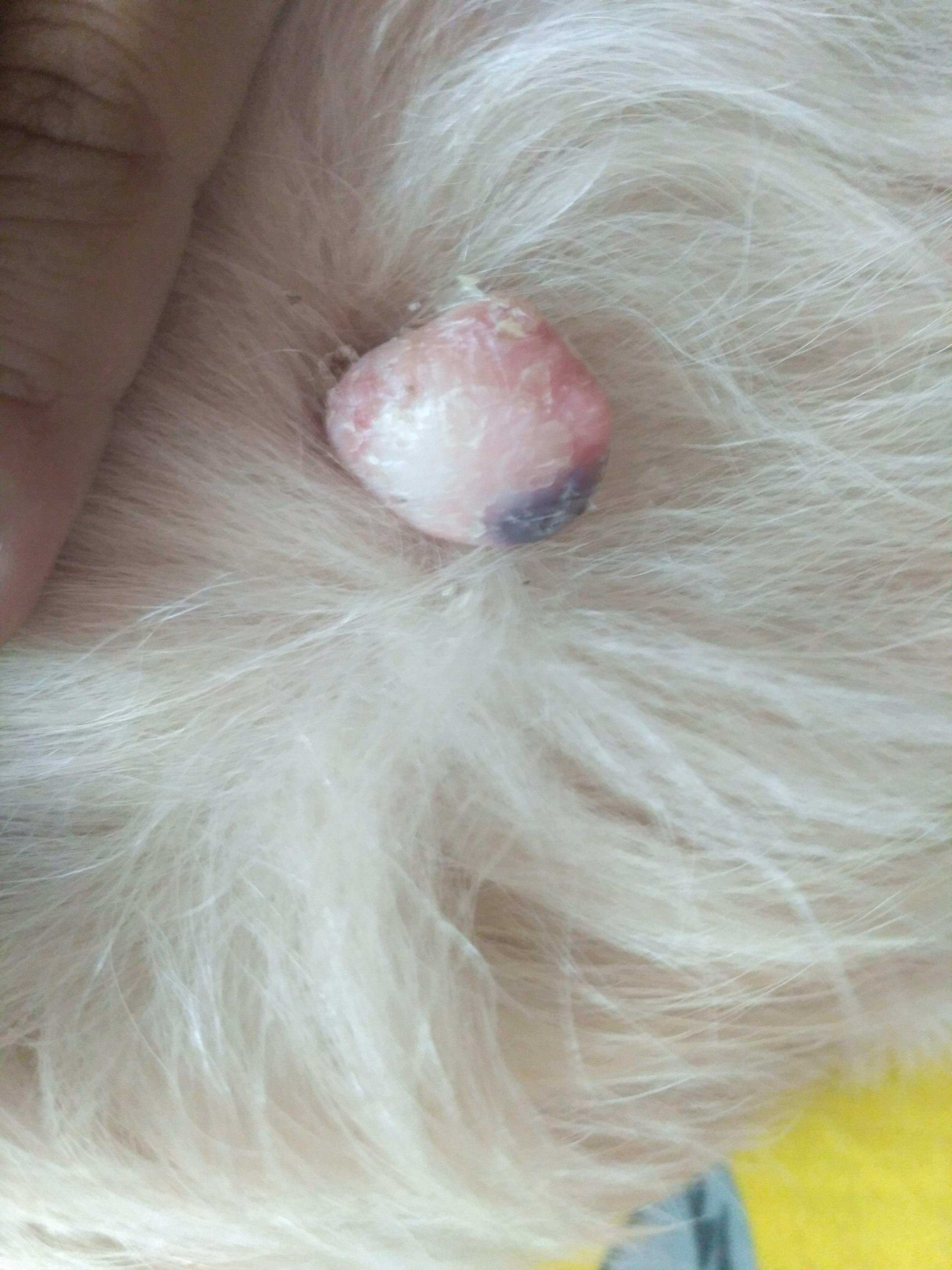 Question details sensitive content