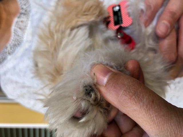 Question details sensitive content