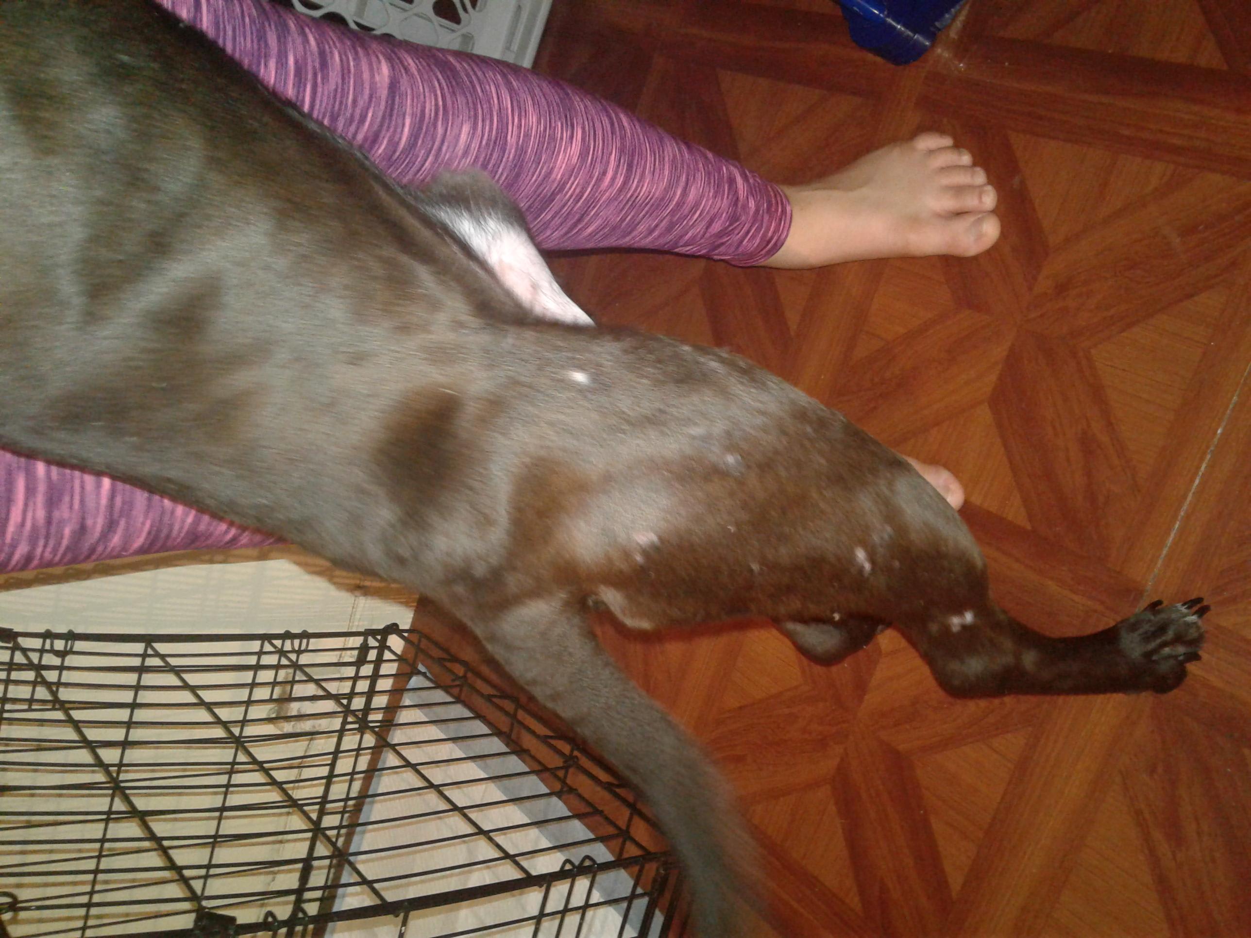 Question details sensitive content