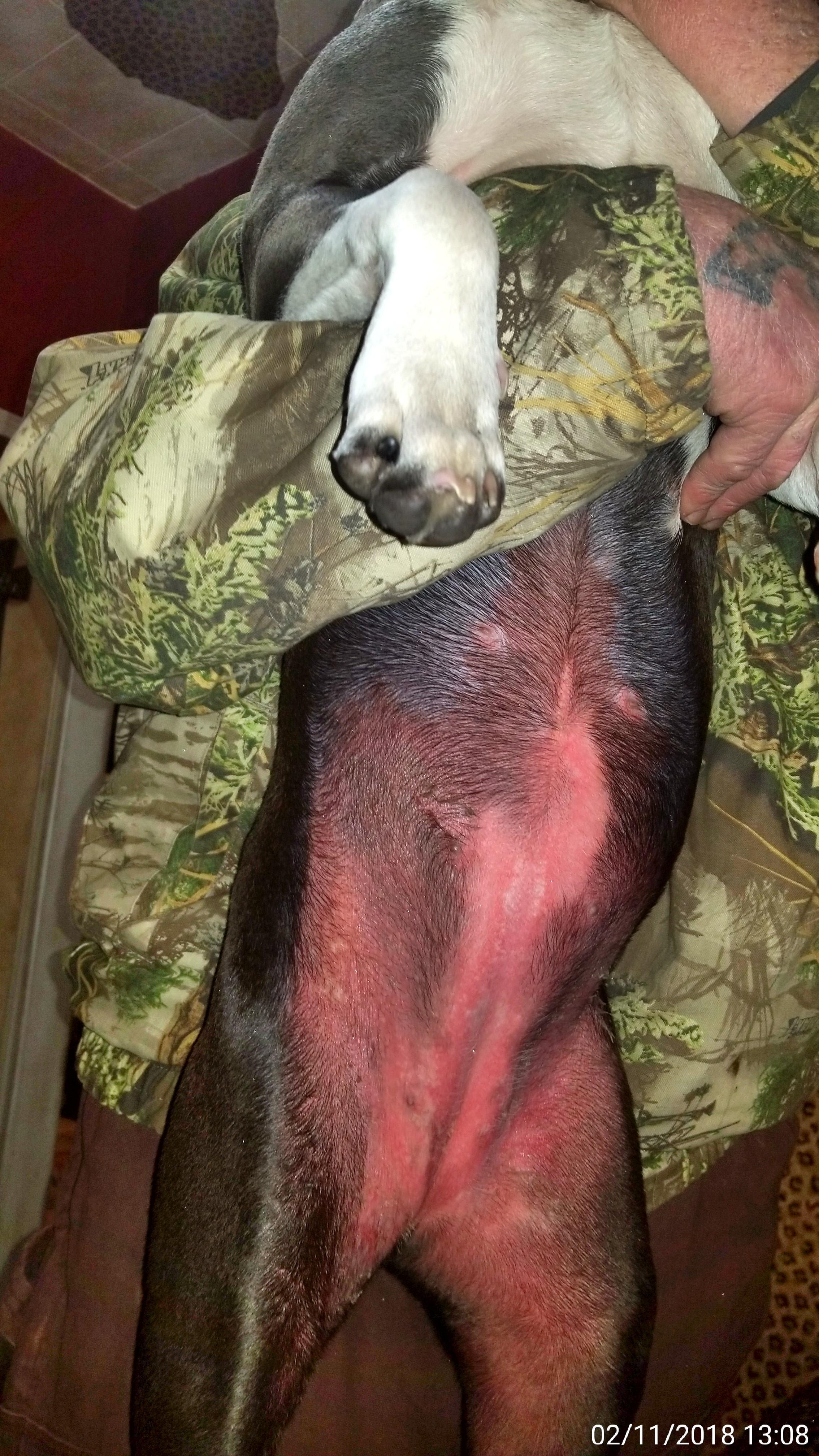 Question details sensitive content