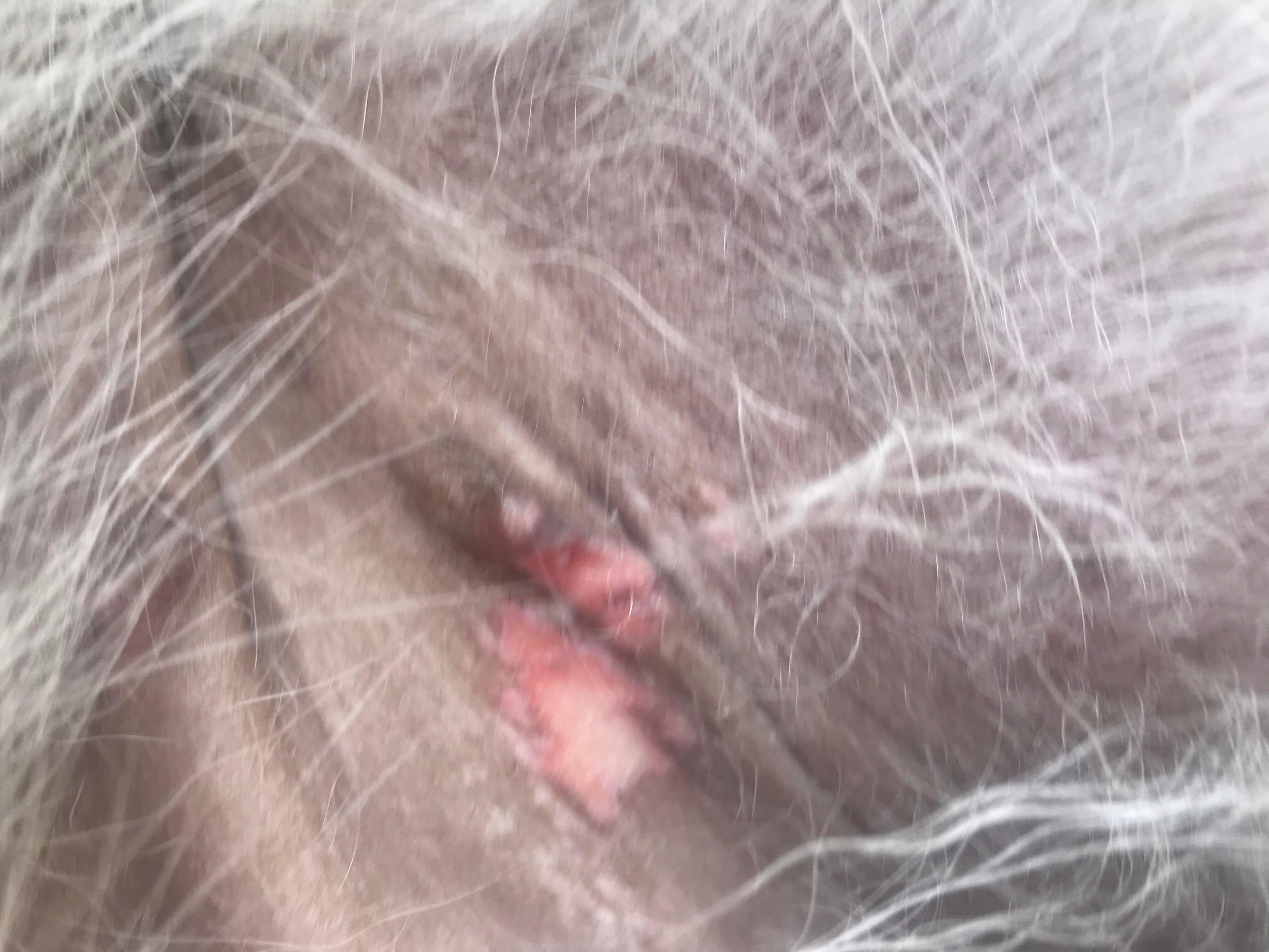 Question details sensitive content