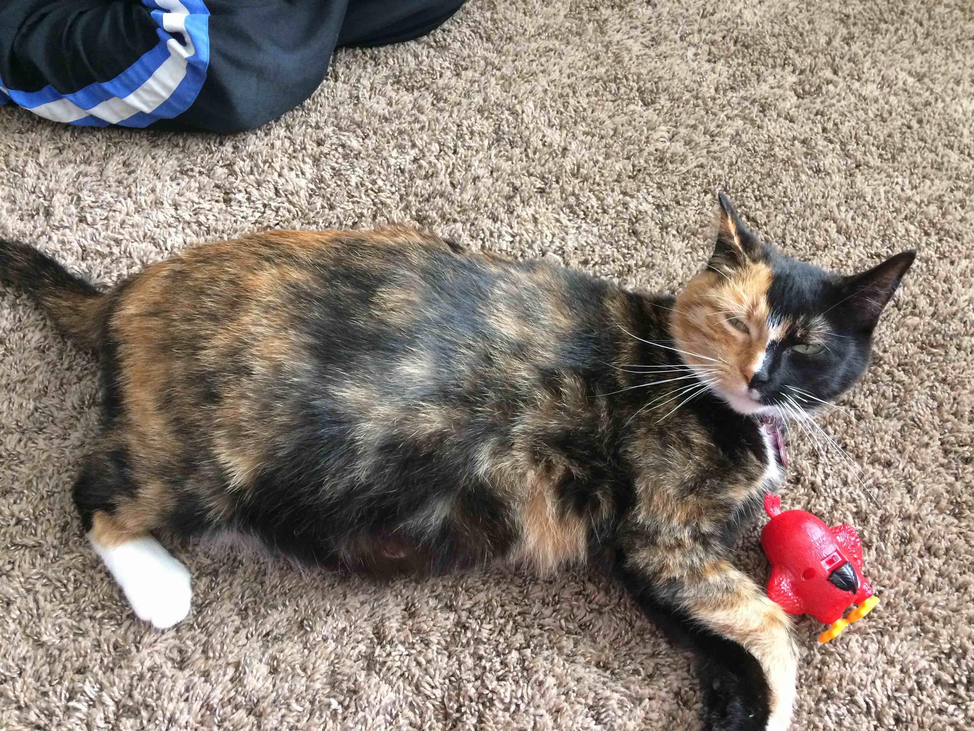 Question details sensitive content