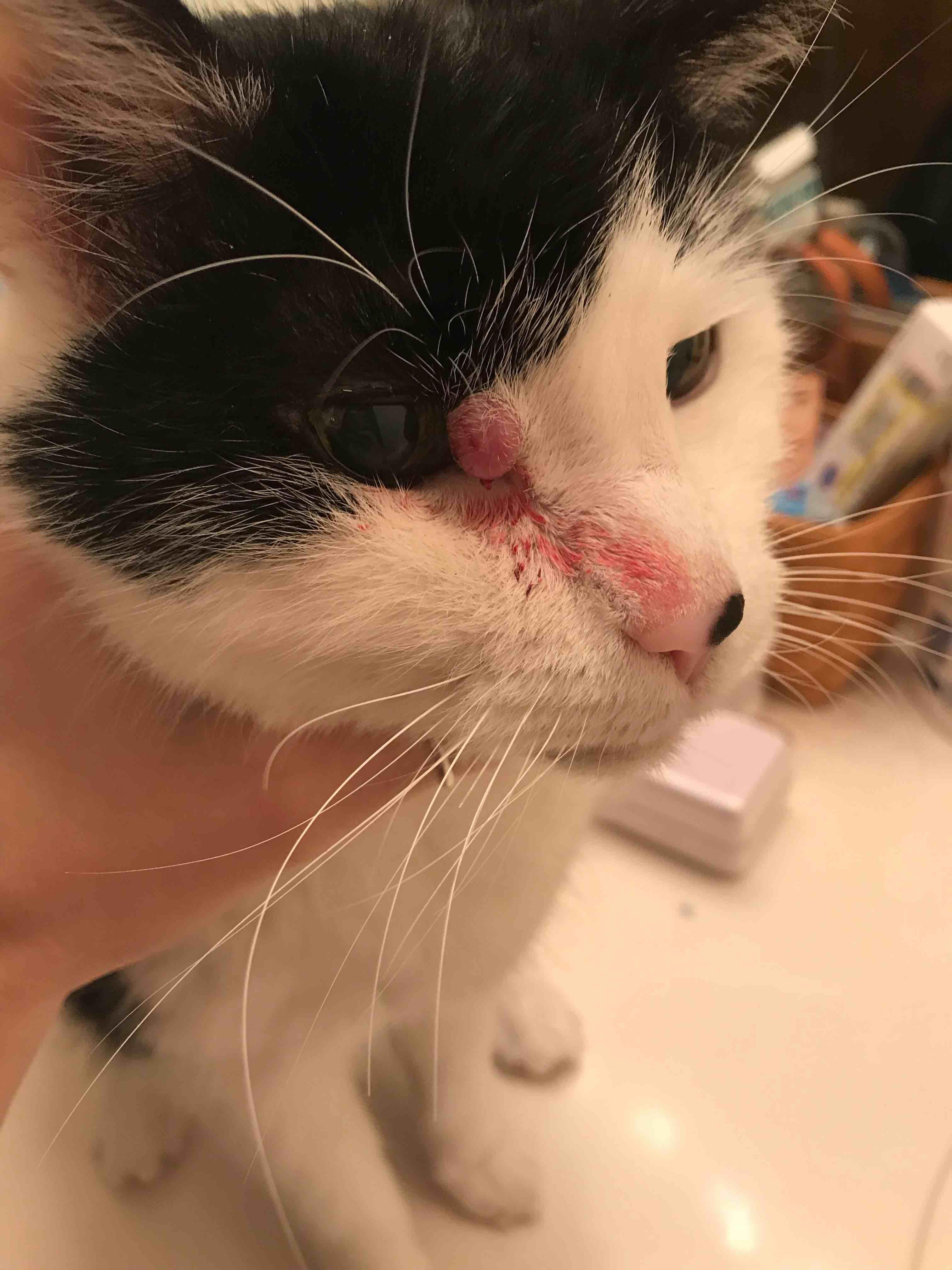 Question details sensitive content