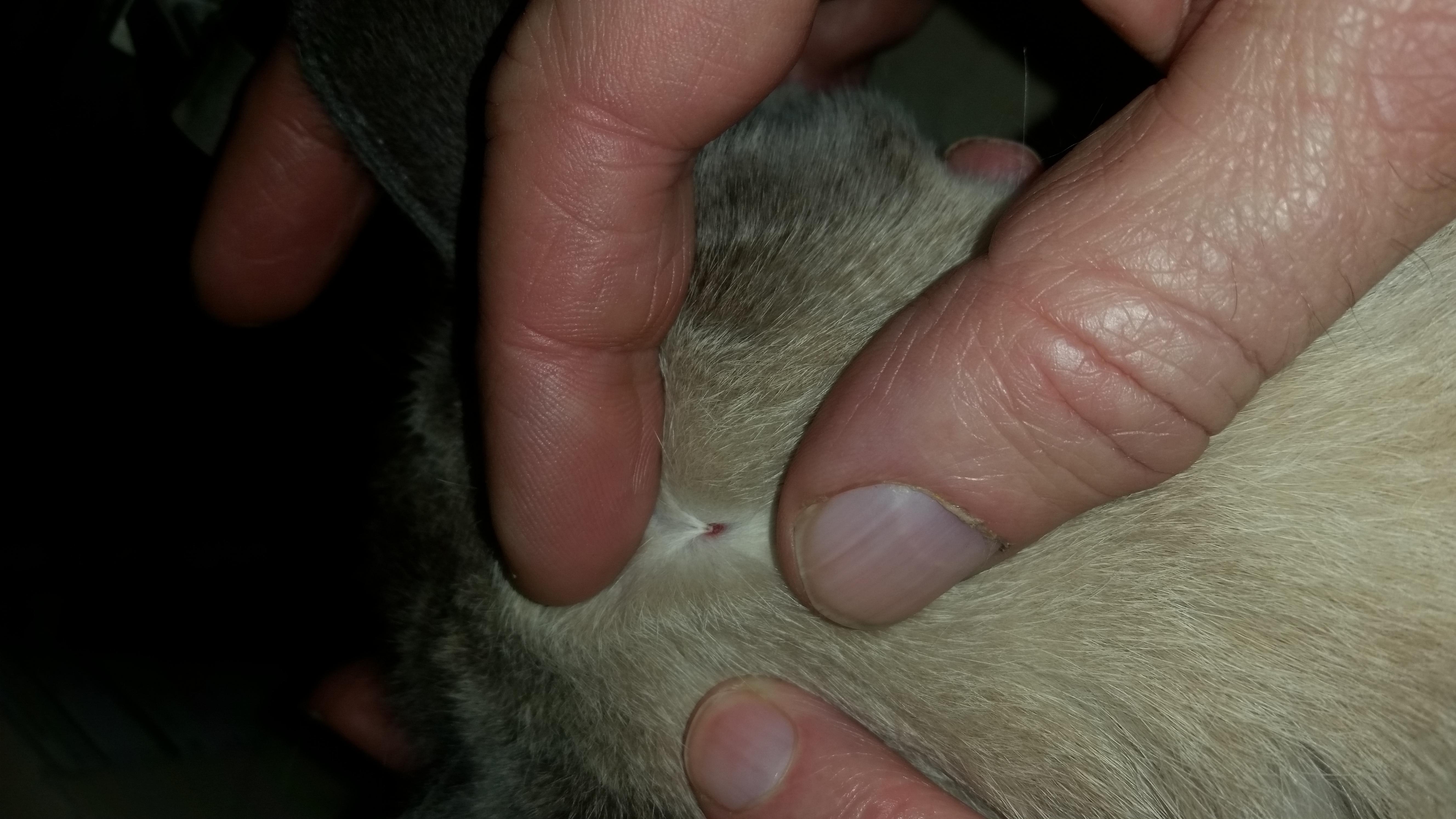 Question details sensitive content