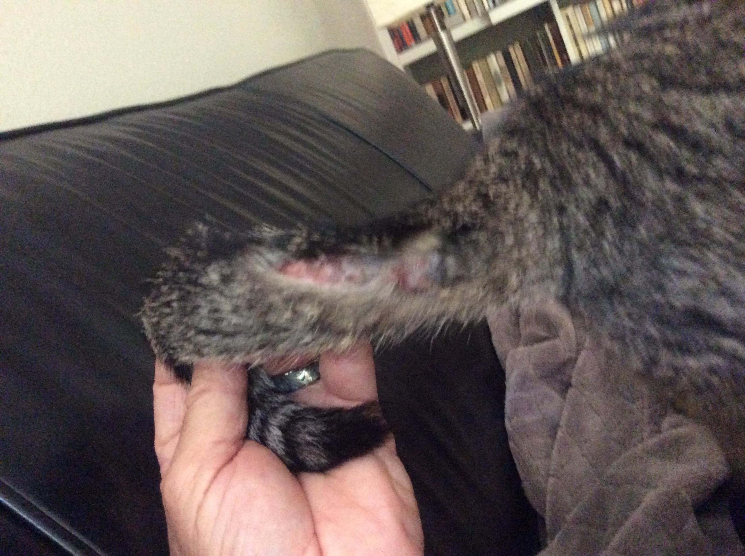 Question details sensitive content