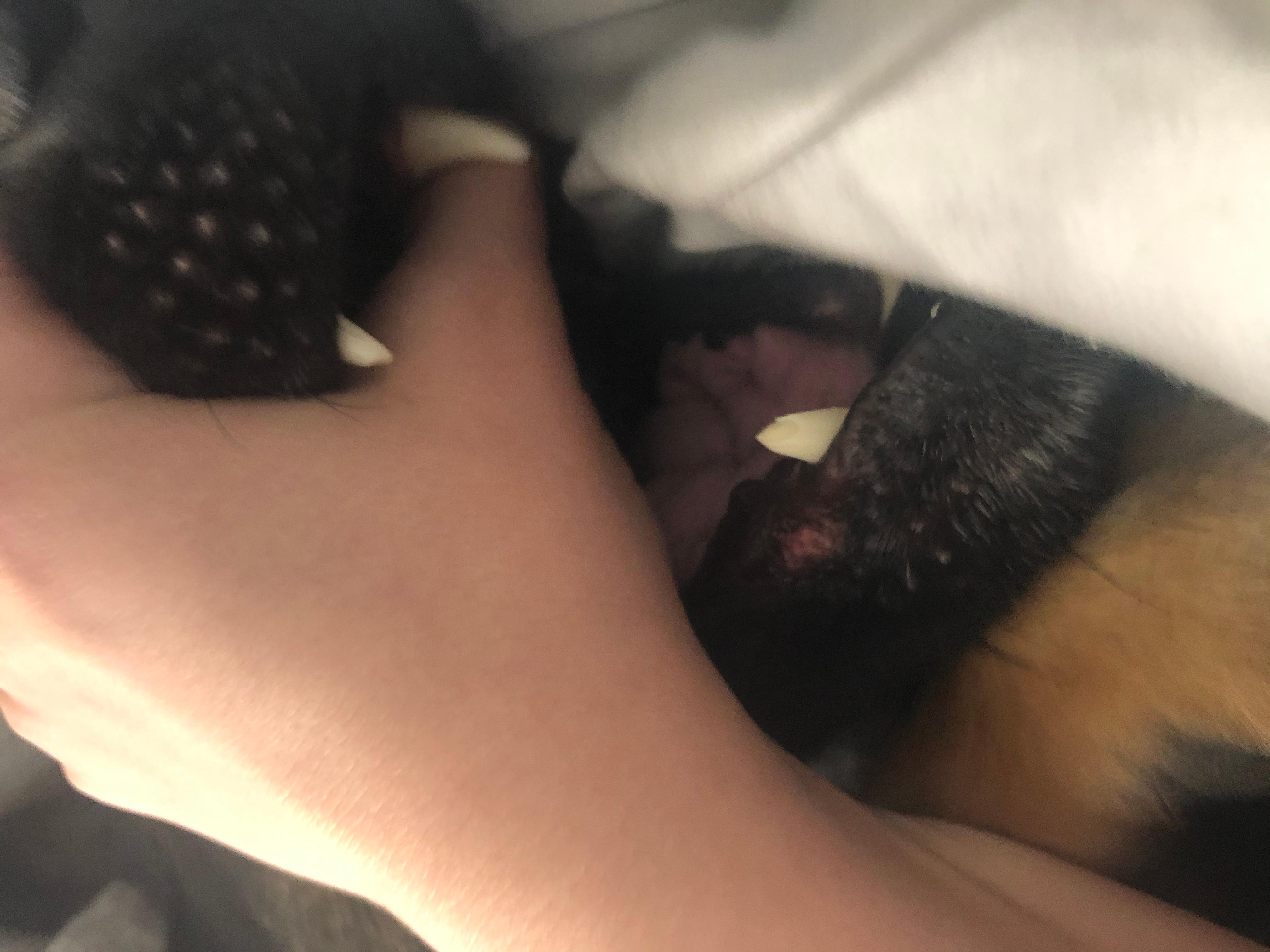 Question details sensitive content