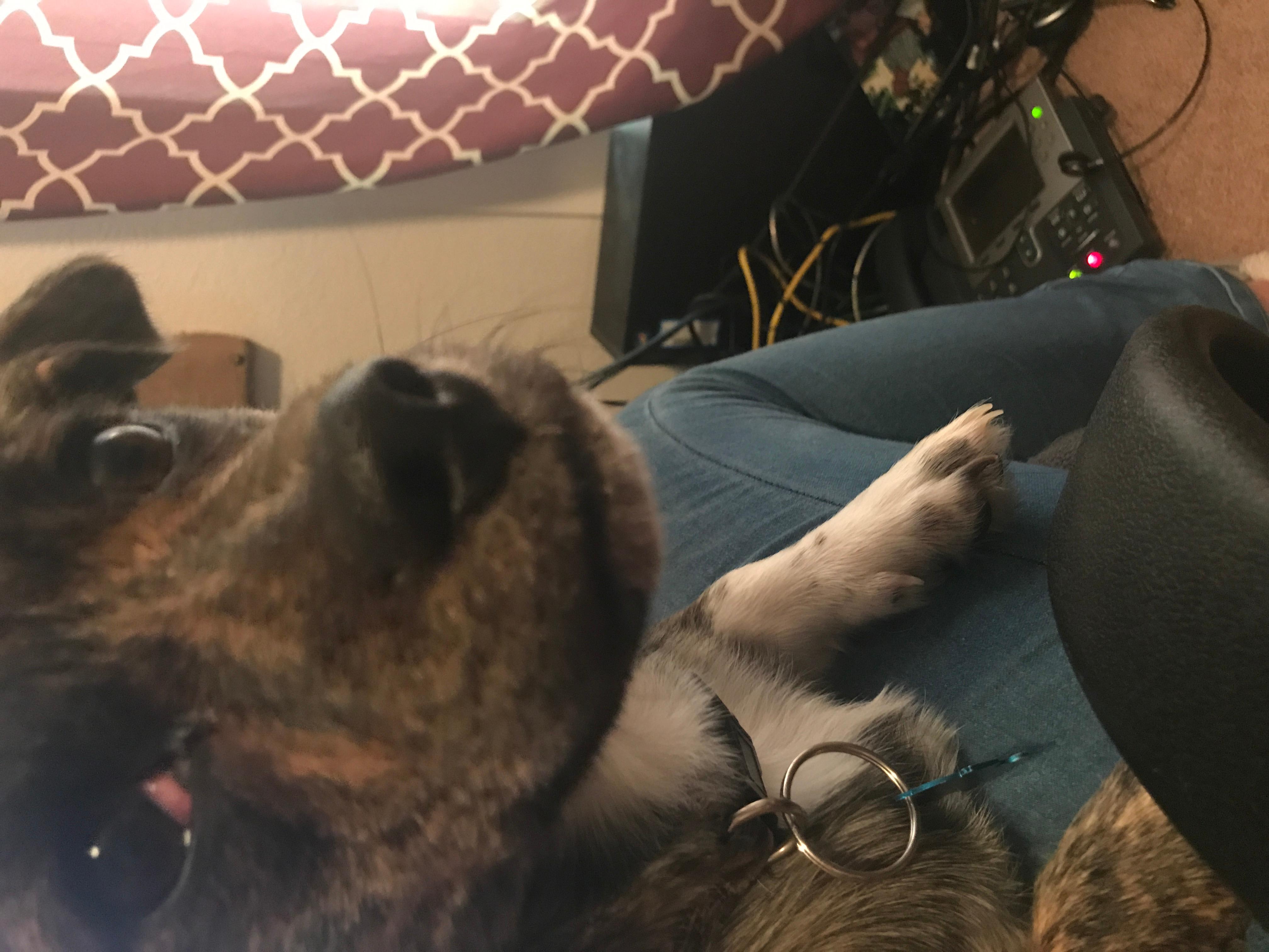 Question details sensitive content