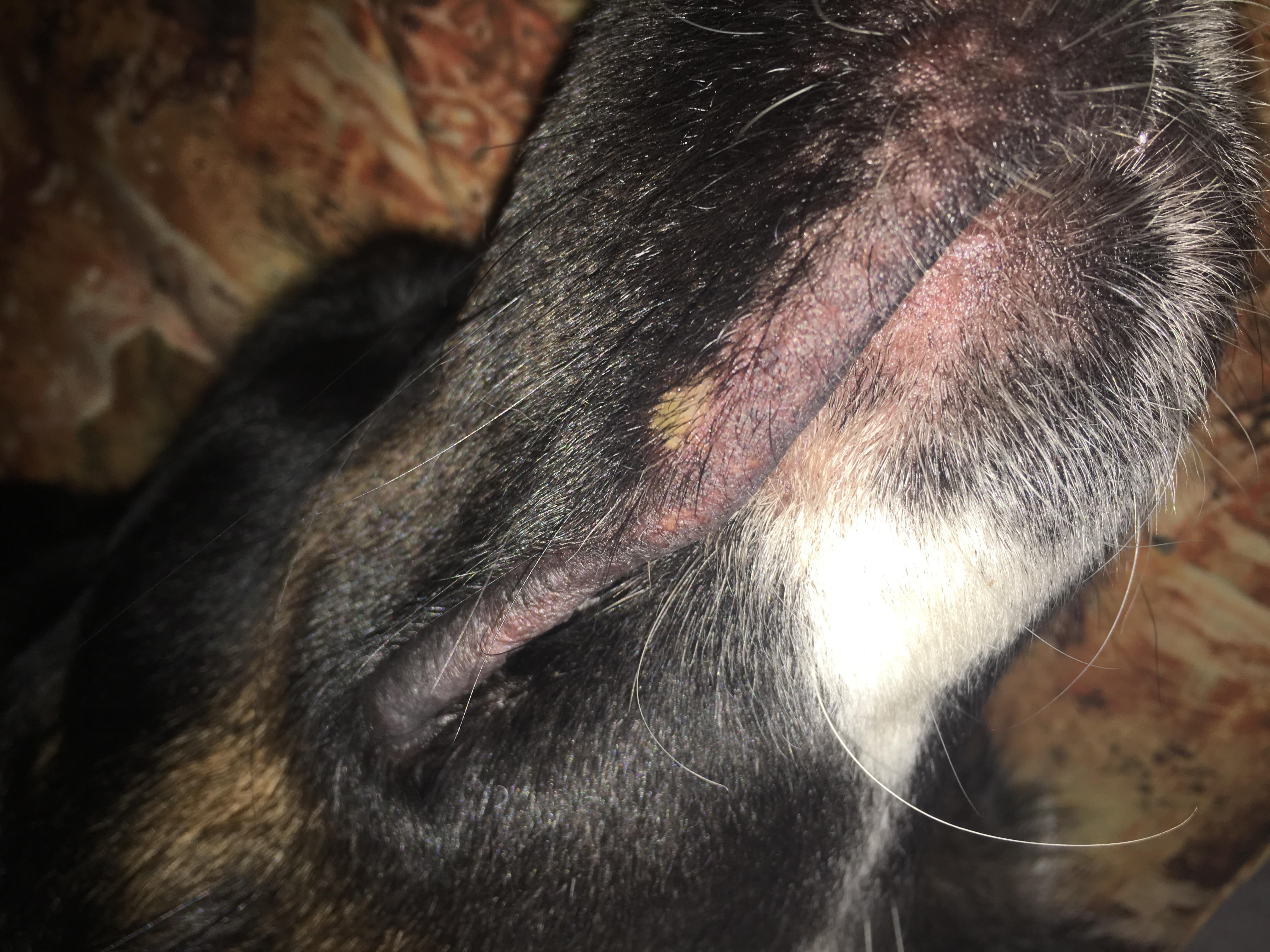 Question details sensitive content