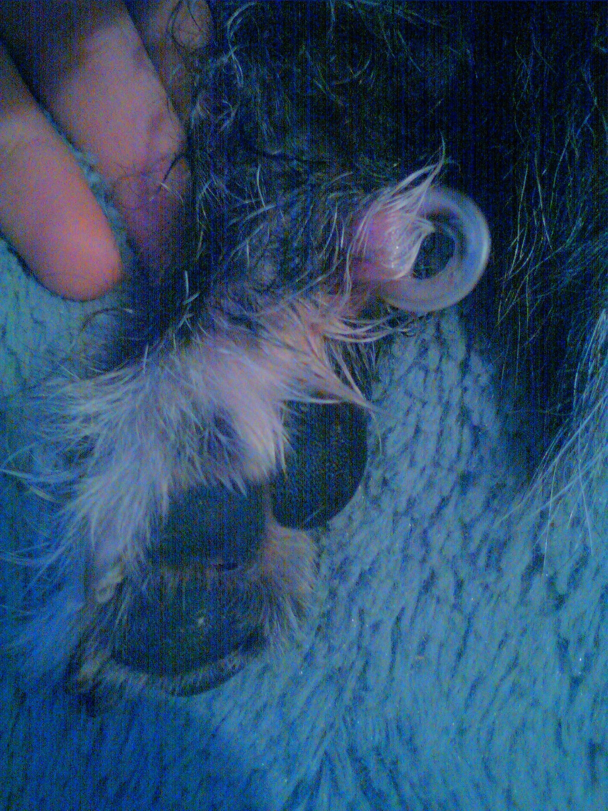 Question details sensitive content