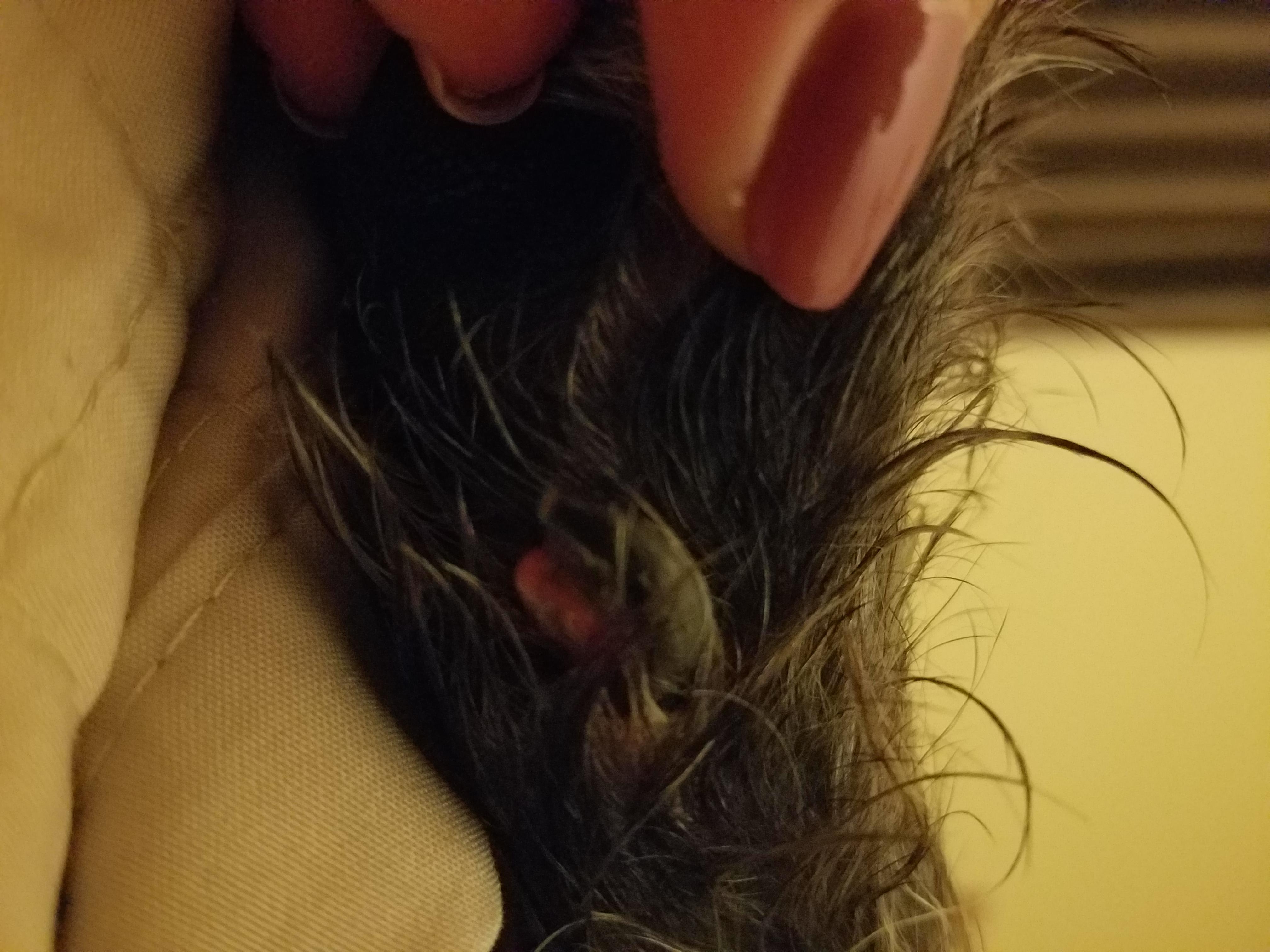 Question details sensitive content