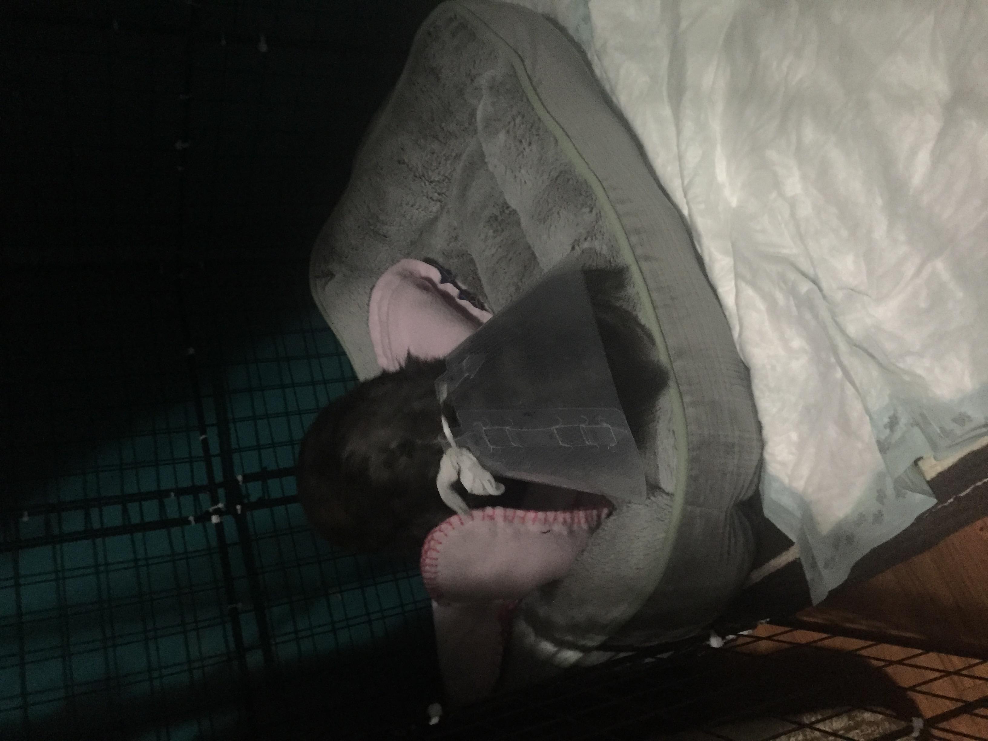 Question details sensitive content