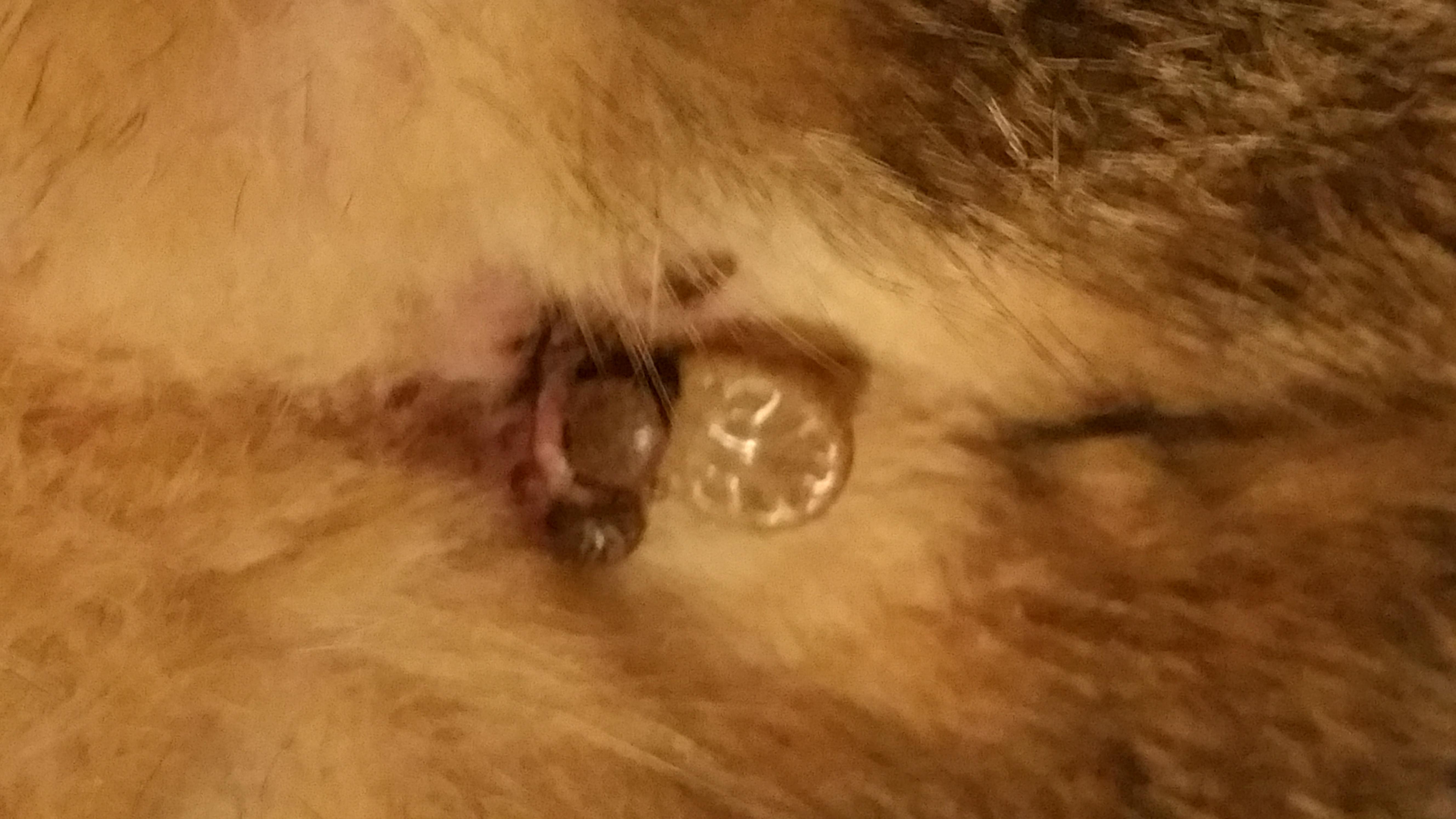 Question details sensitive content