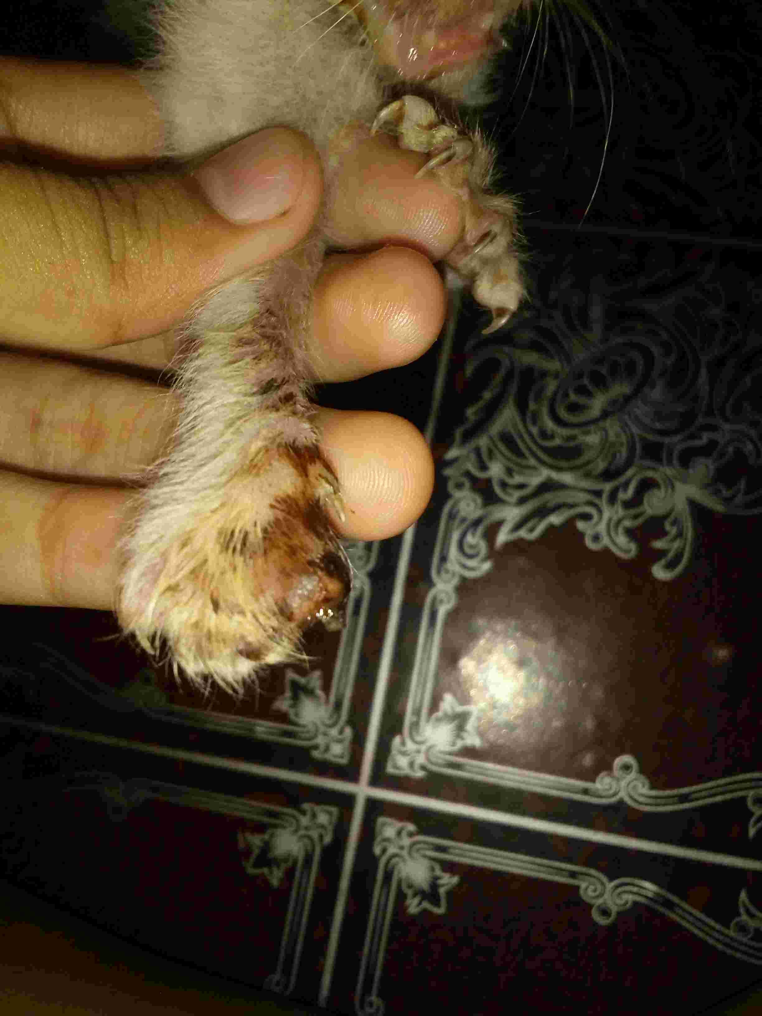 Question details sensitive content