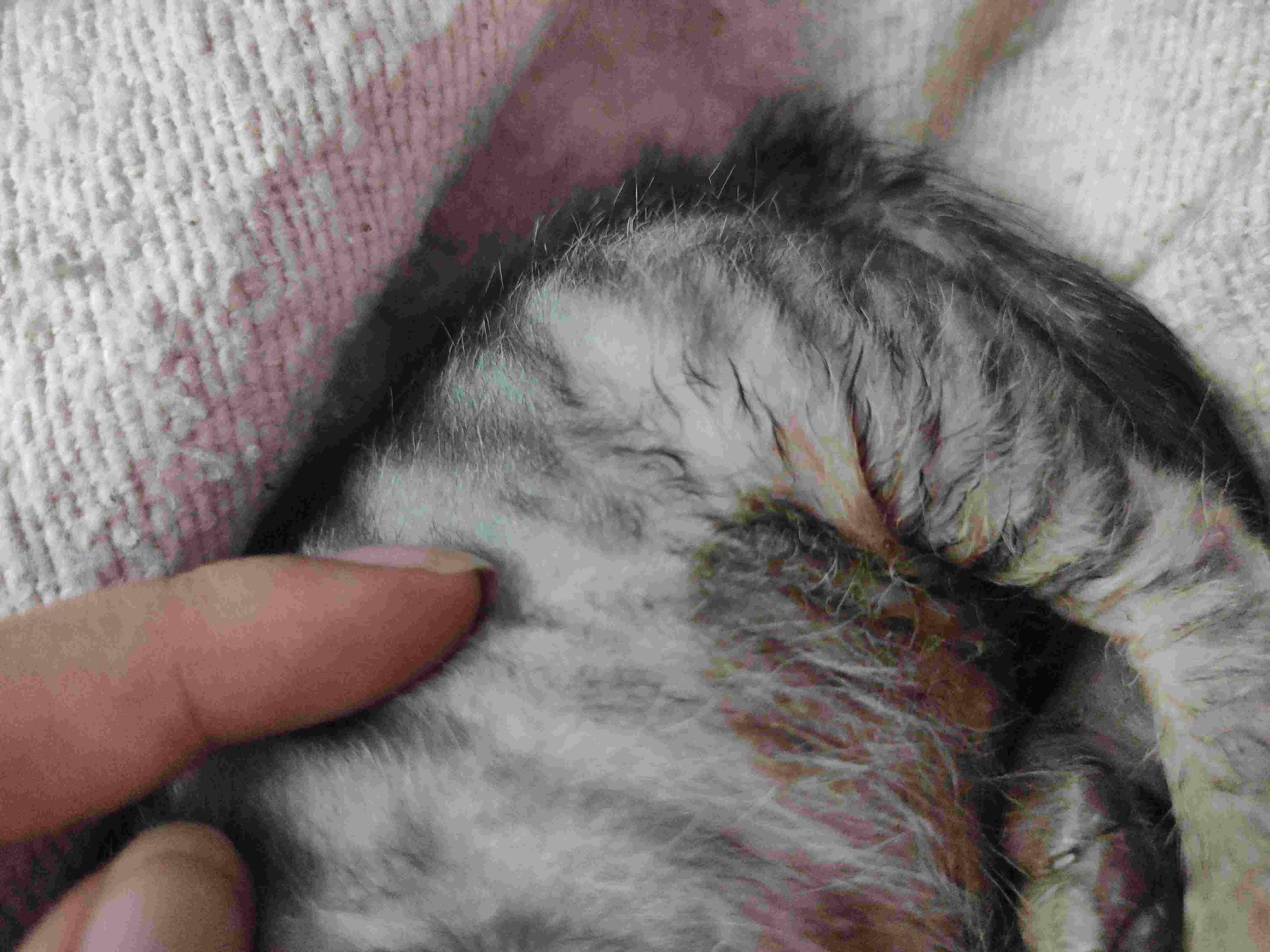 Question details sensitive content