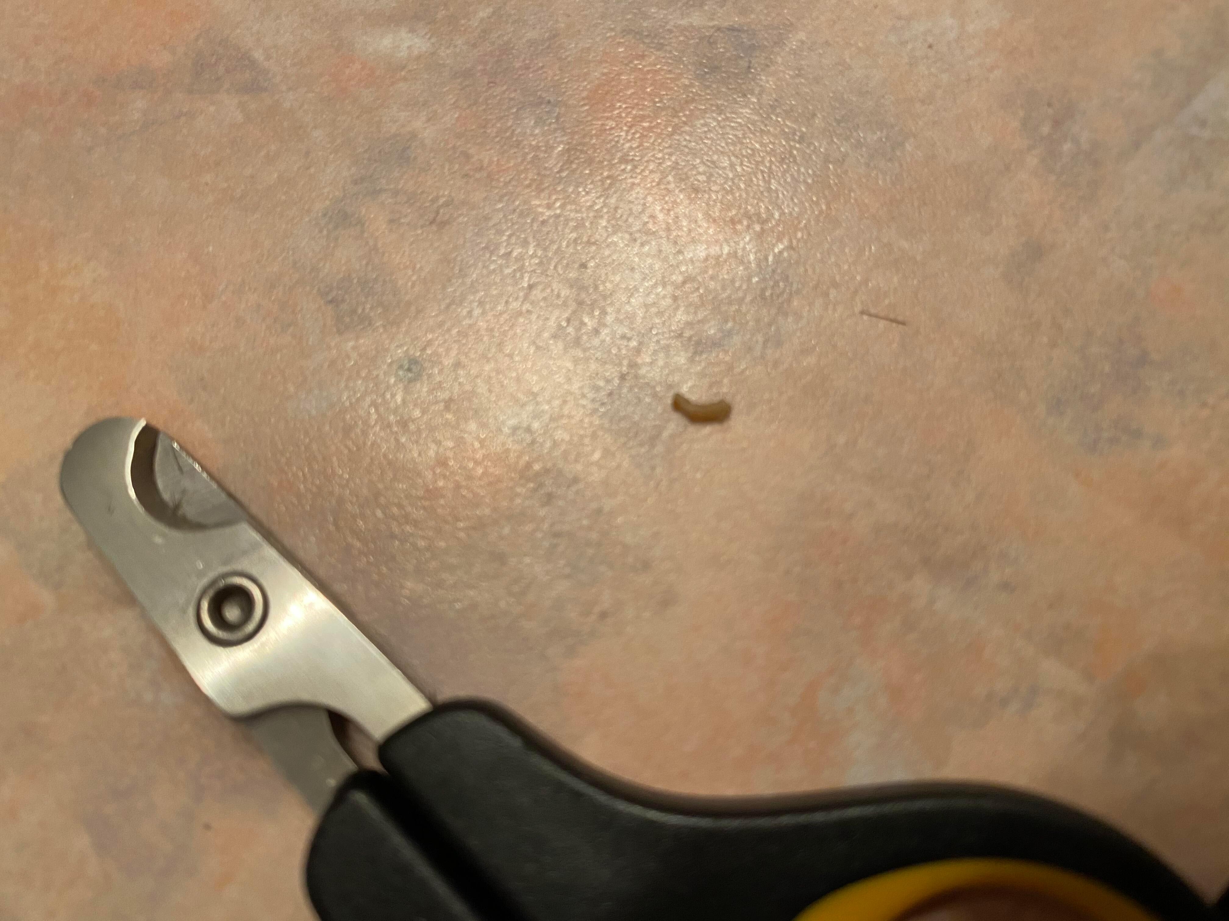 Question details sensitive content