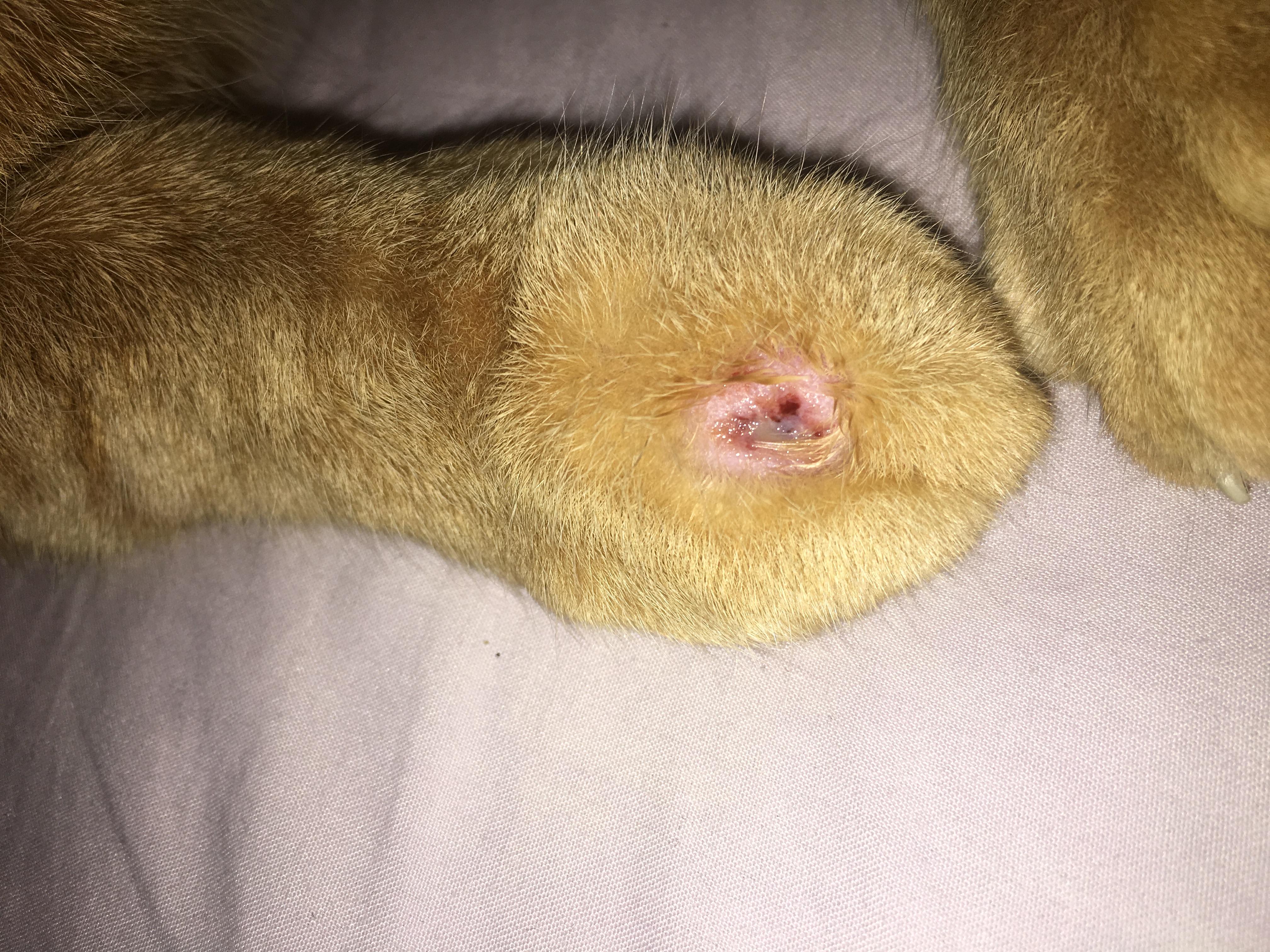 Question details sensitive content