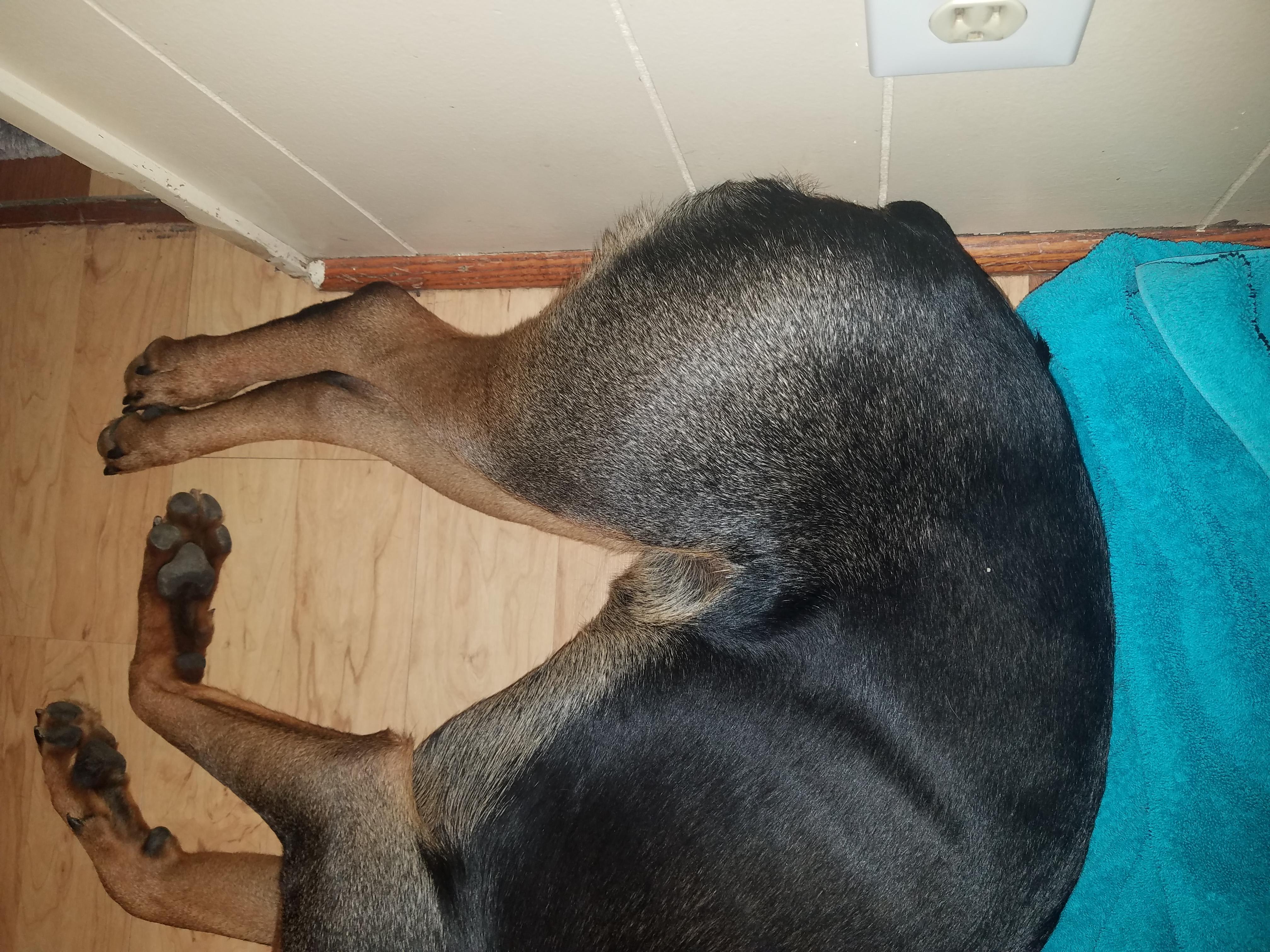 Question details sensitive content