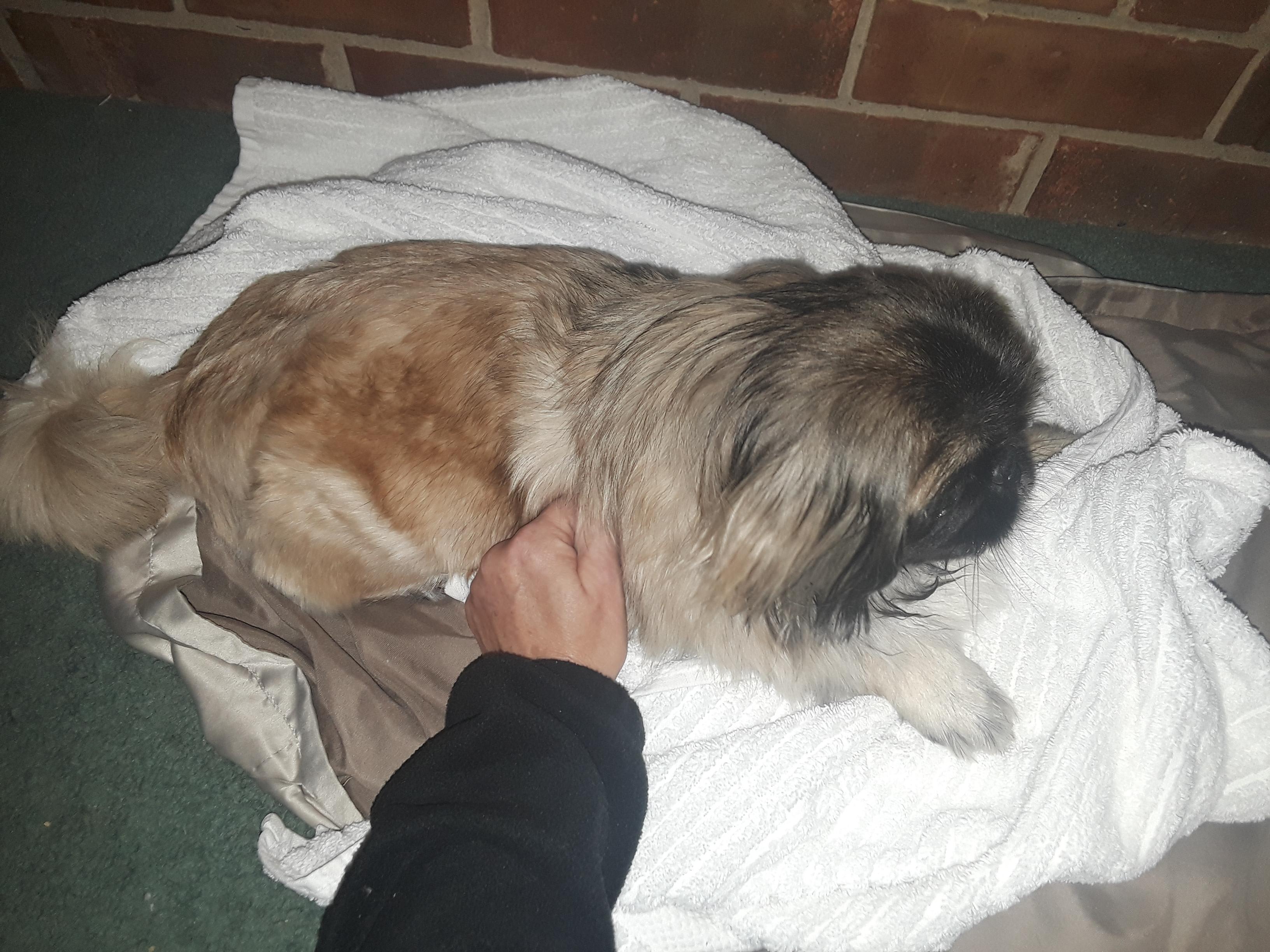 Question details sensitive content