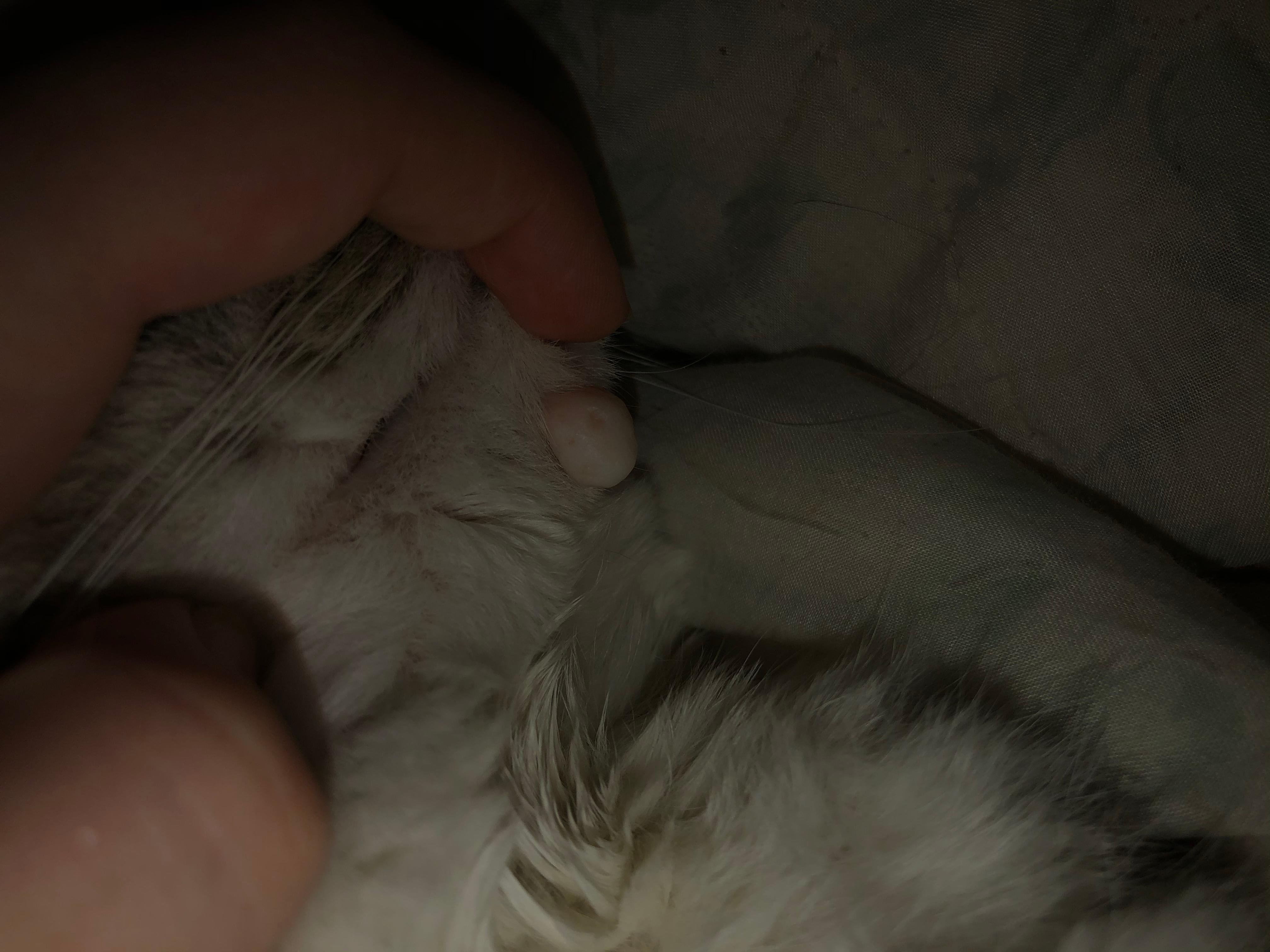 Question details sensitive content