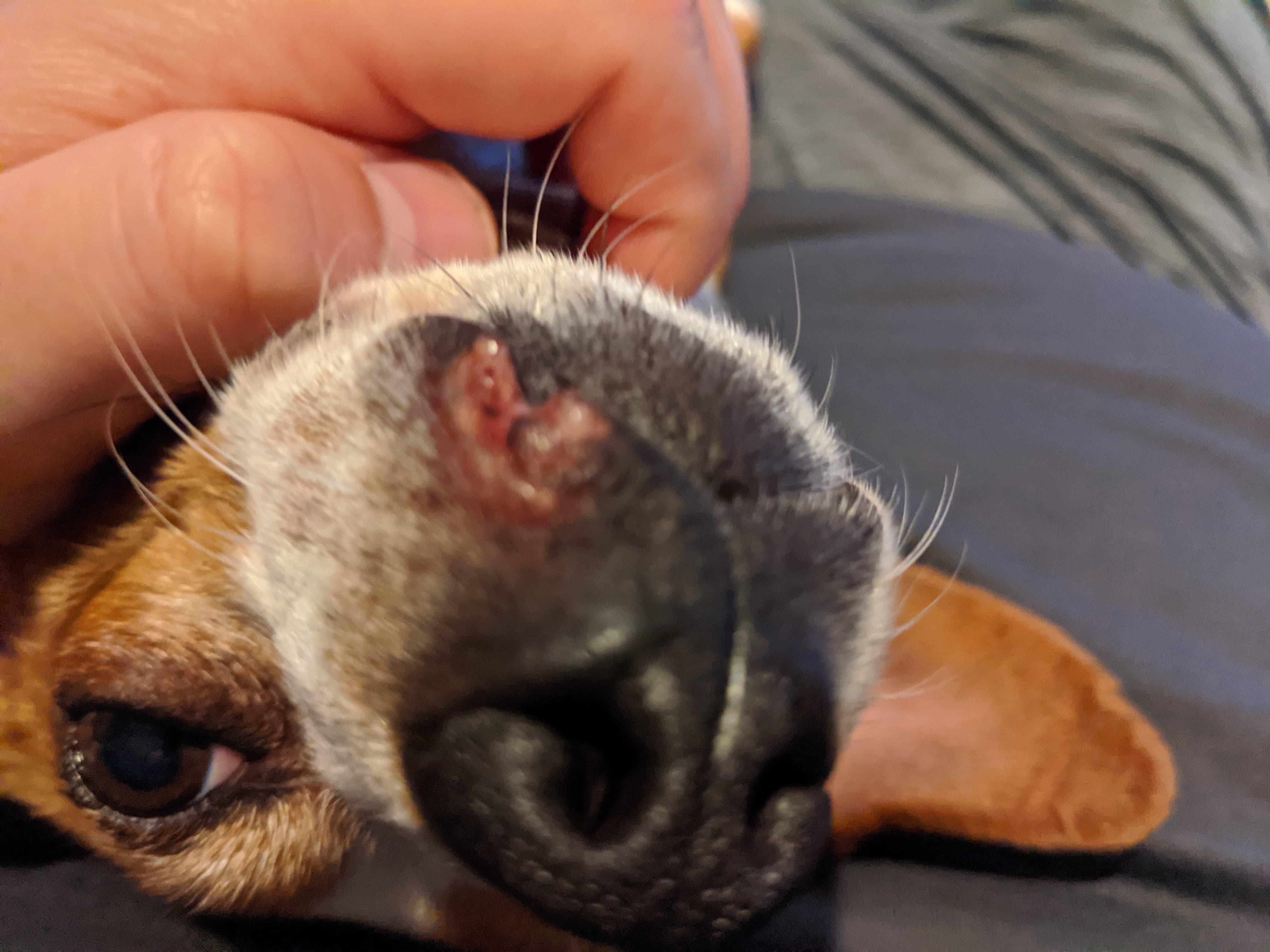 Question details sensitive content