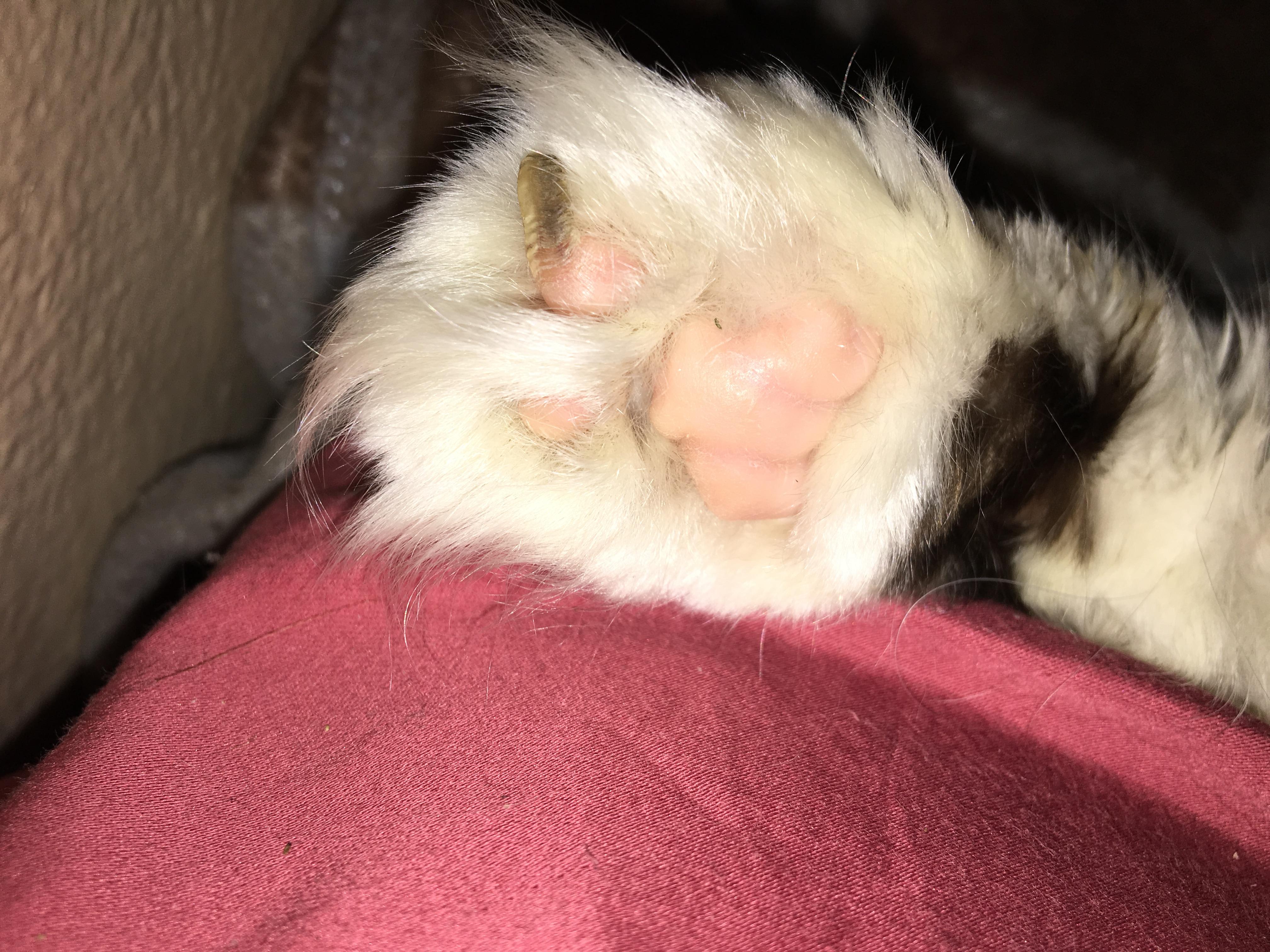 Question details sensitive content