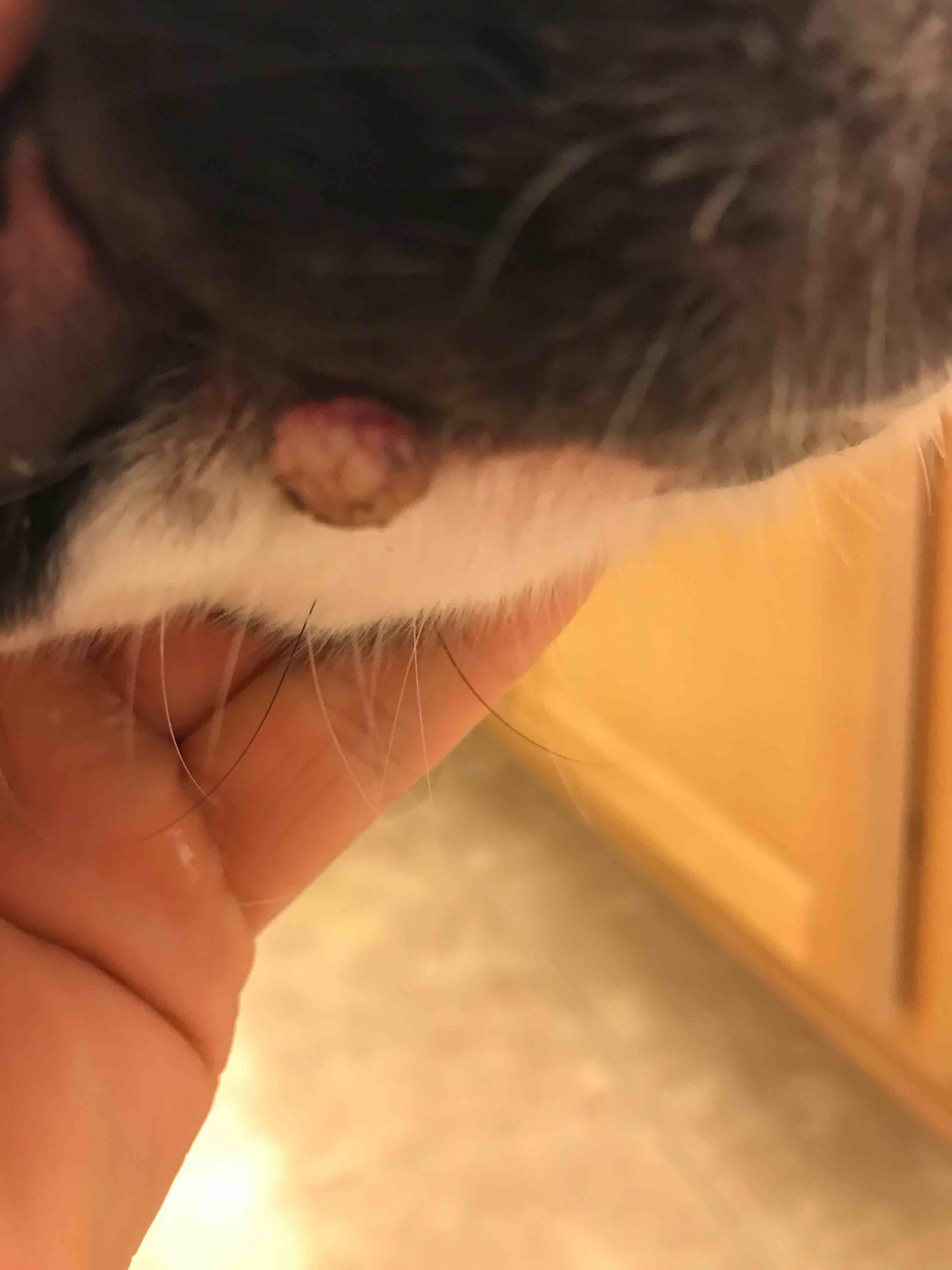 Question details sensitive content