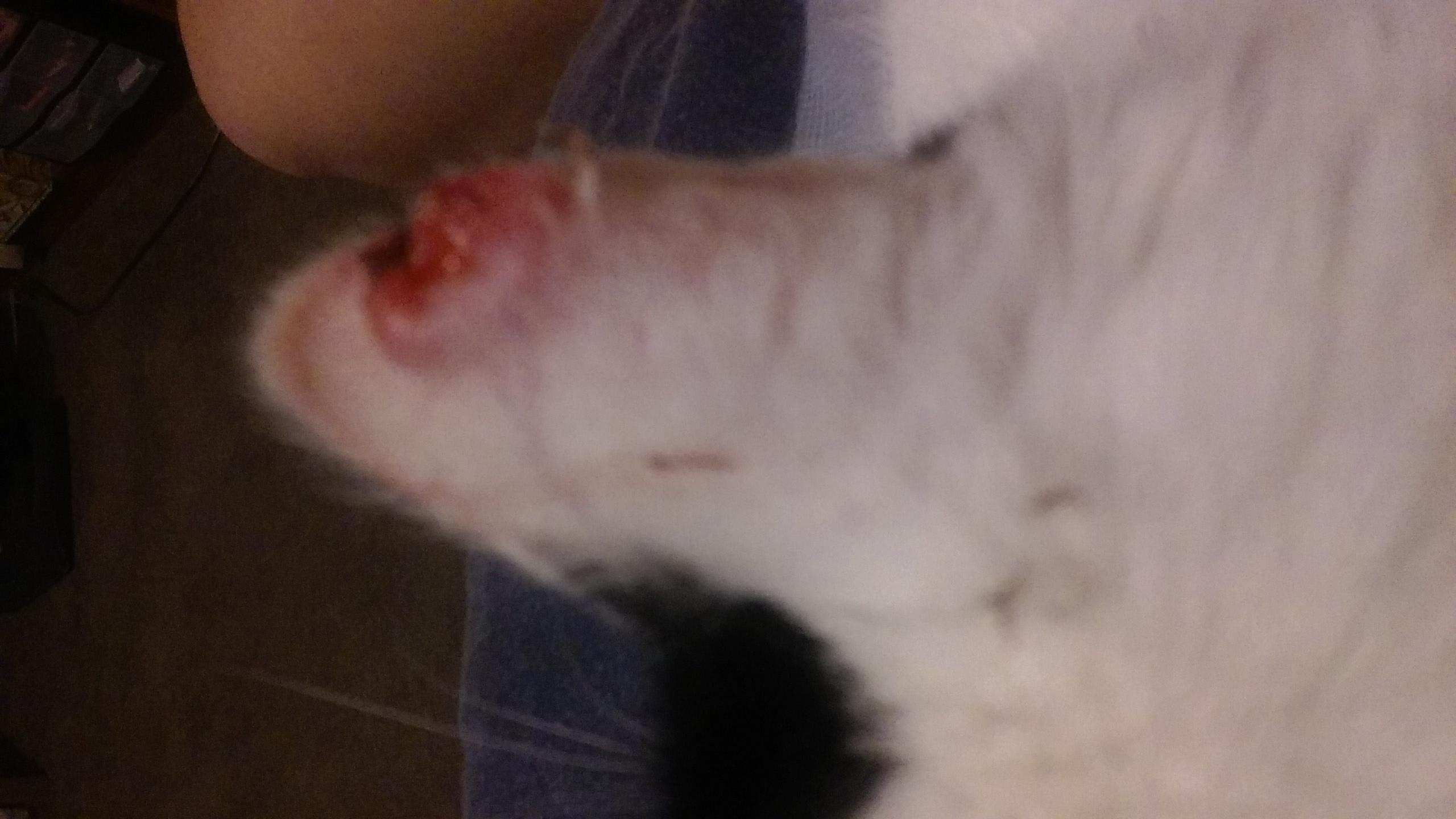 Question details sensitive content