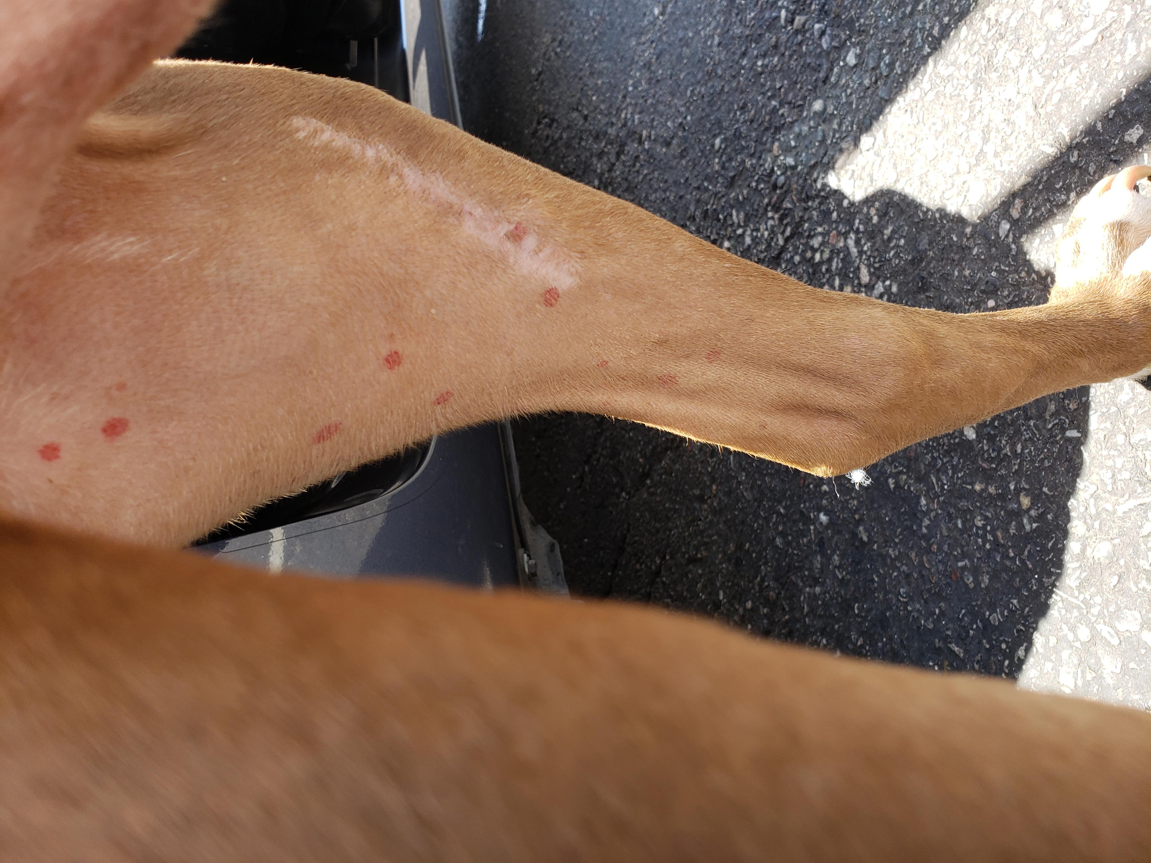 Question details sensitive content