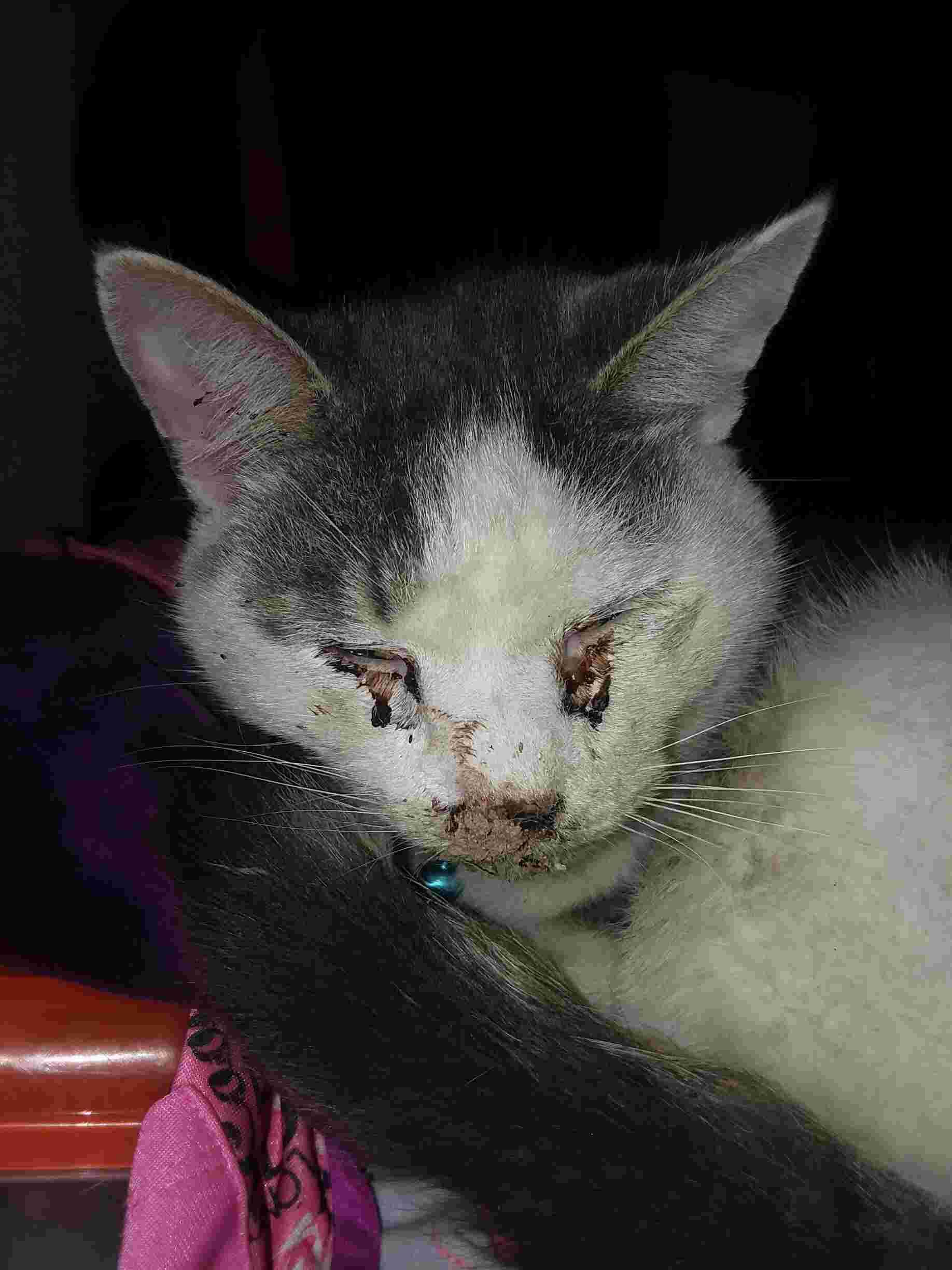 Question details sensitive content