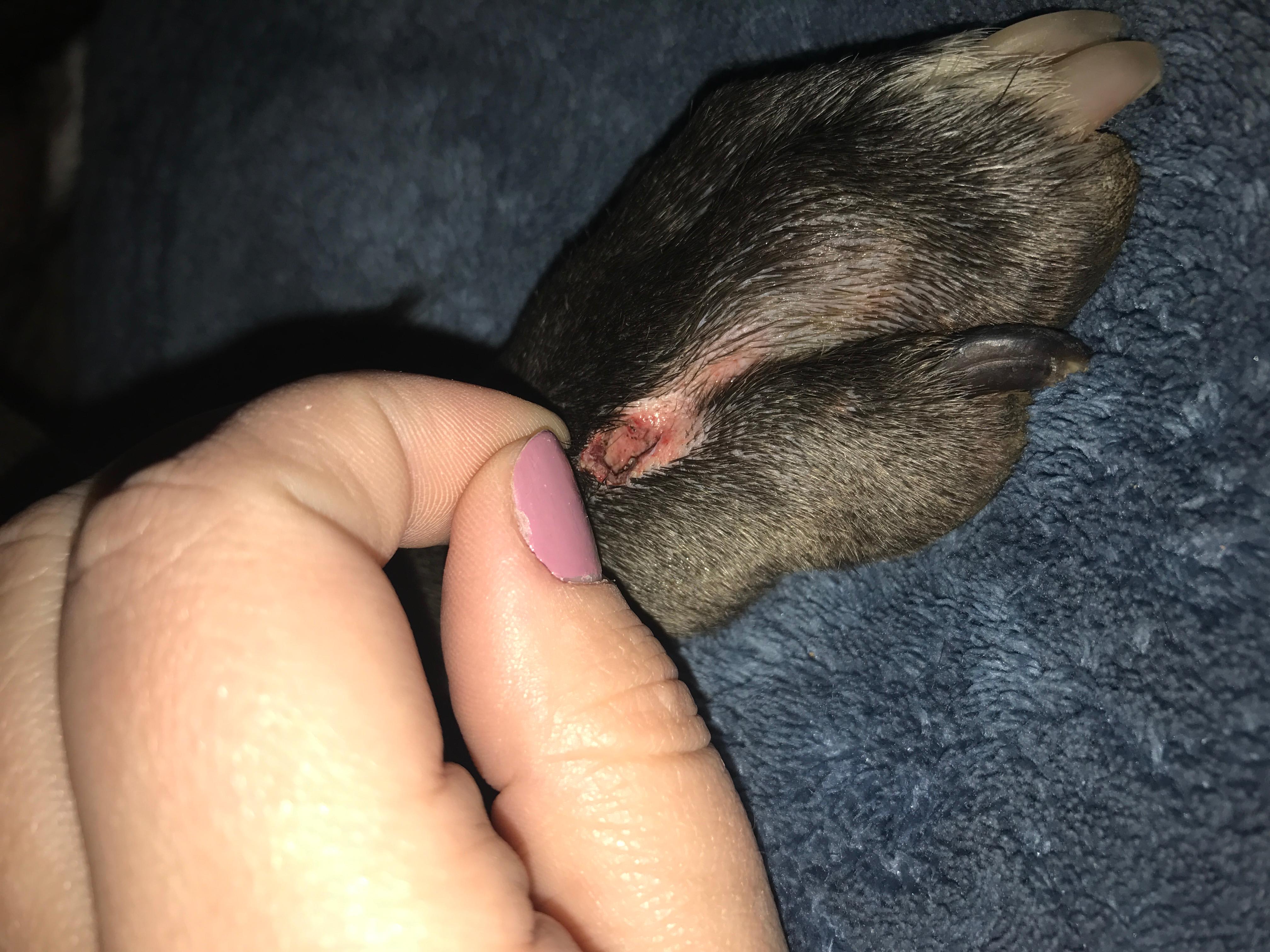 Question details sensitive content