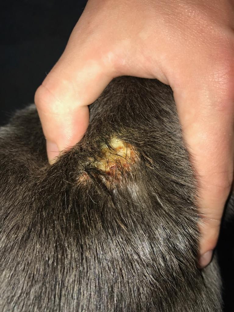 Question details sensitive content