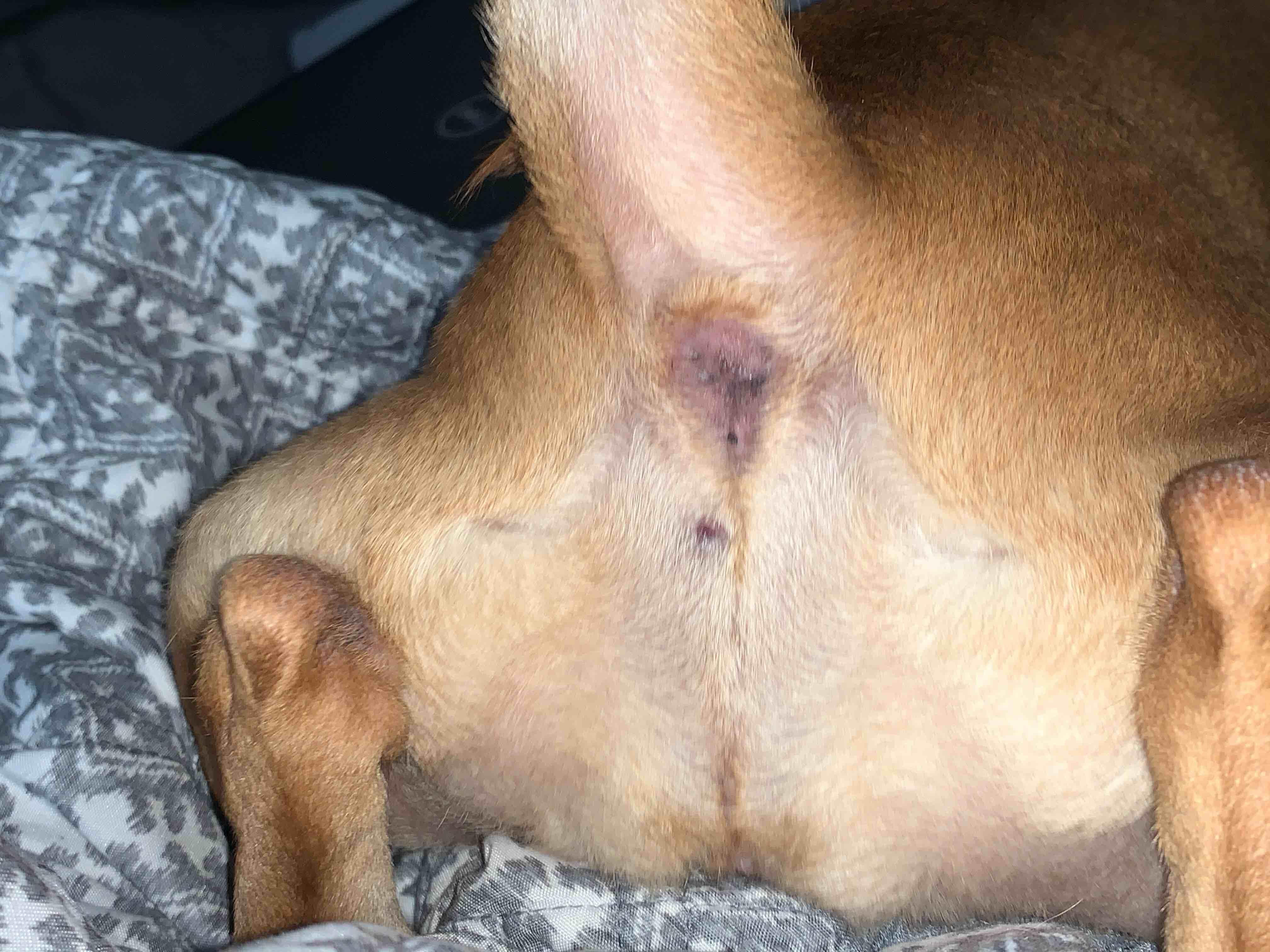 Question details sensitive content