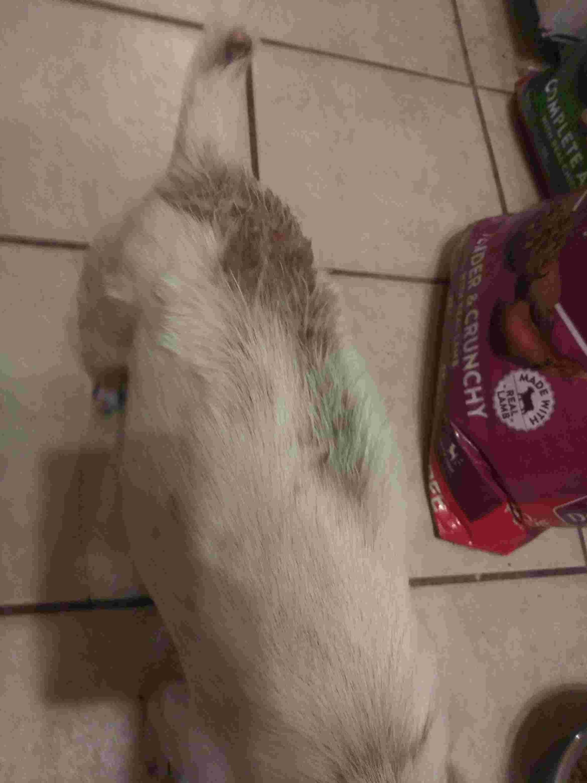 Question details sensitive content