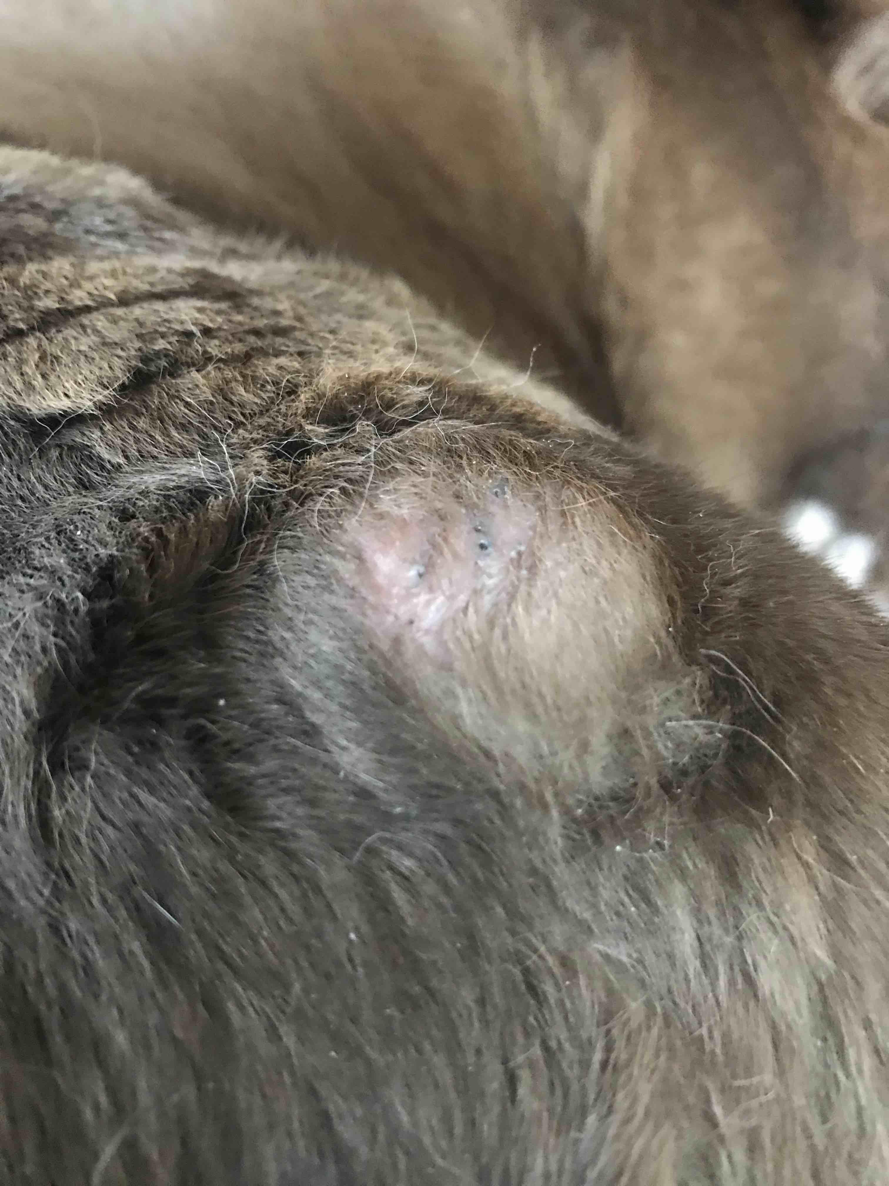 Question details sensitive content