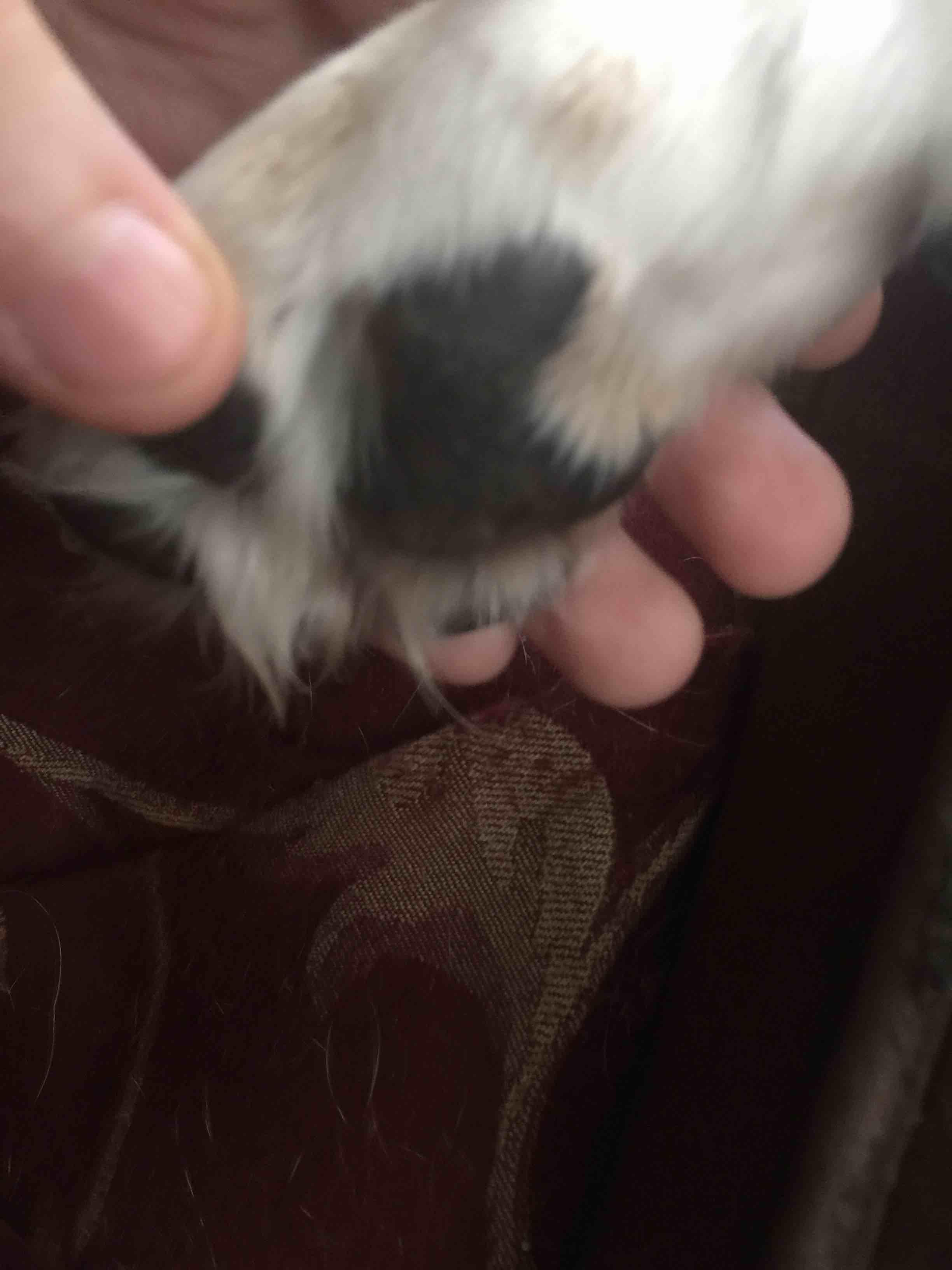 Question details sensitive content