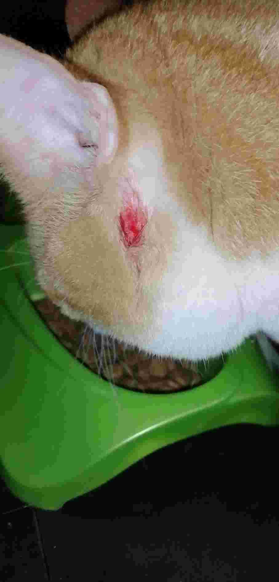 Question details sensitive content