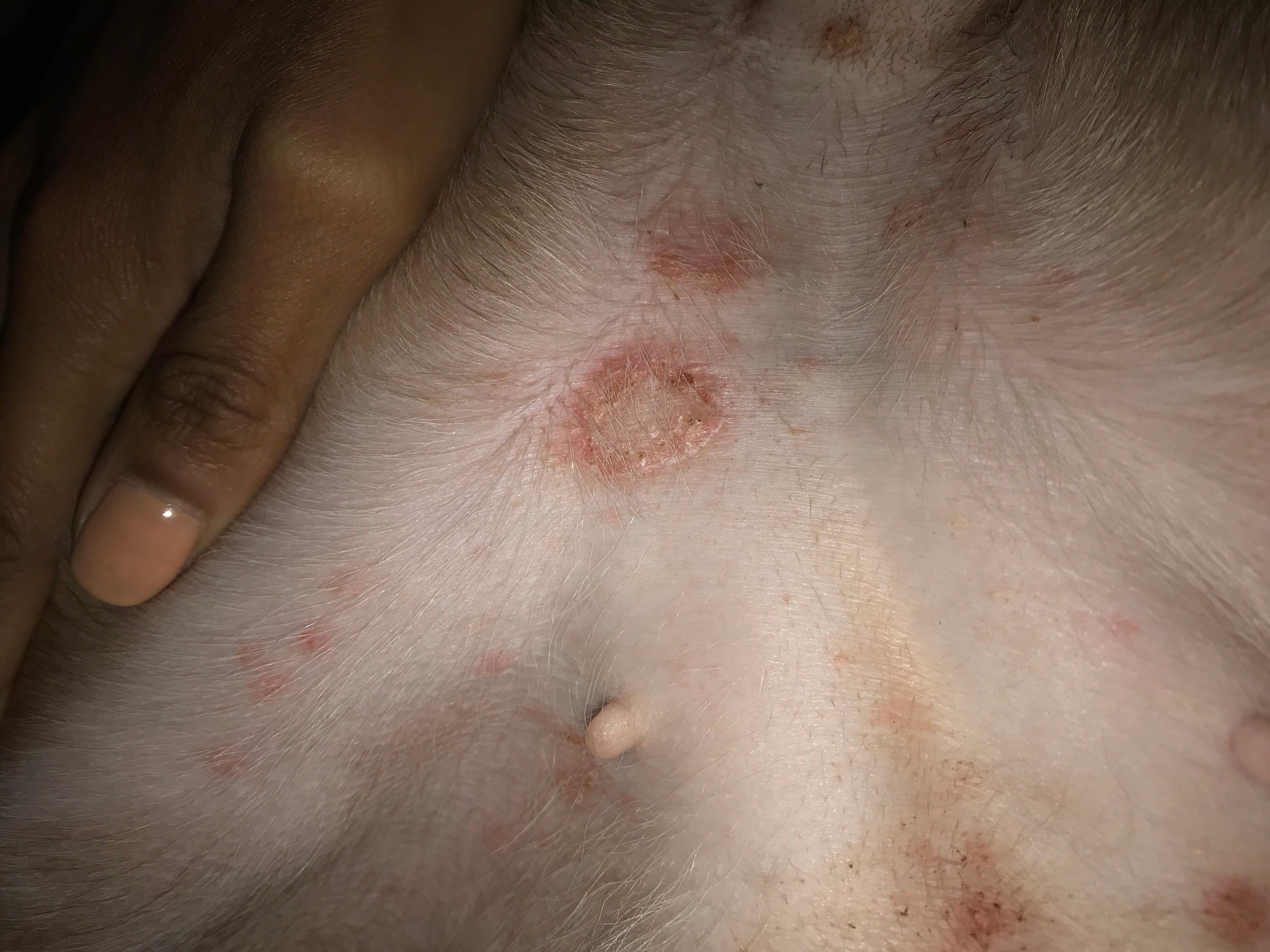 Question details sensitive content