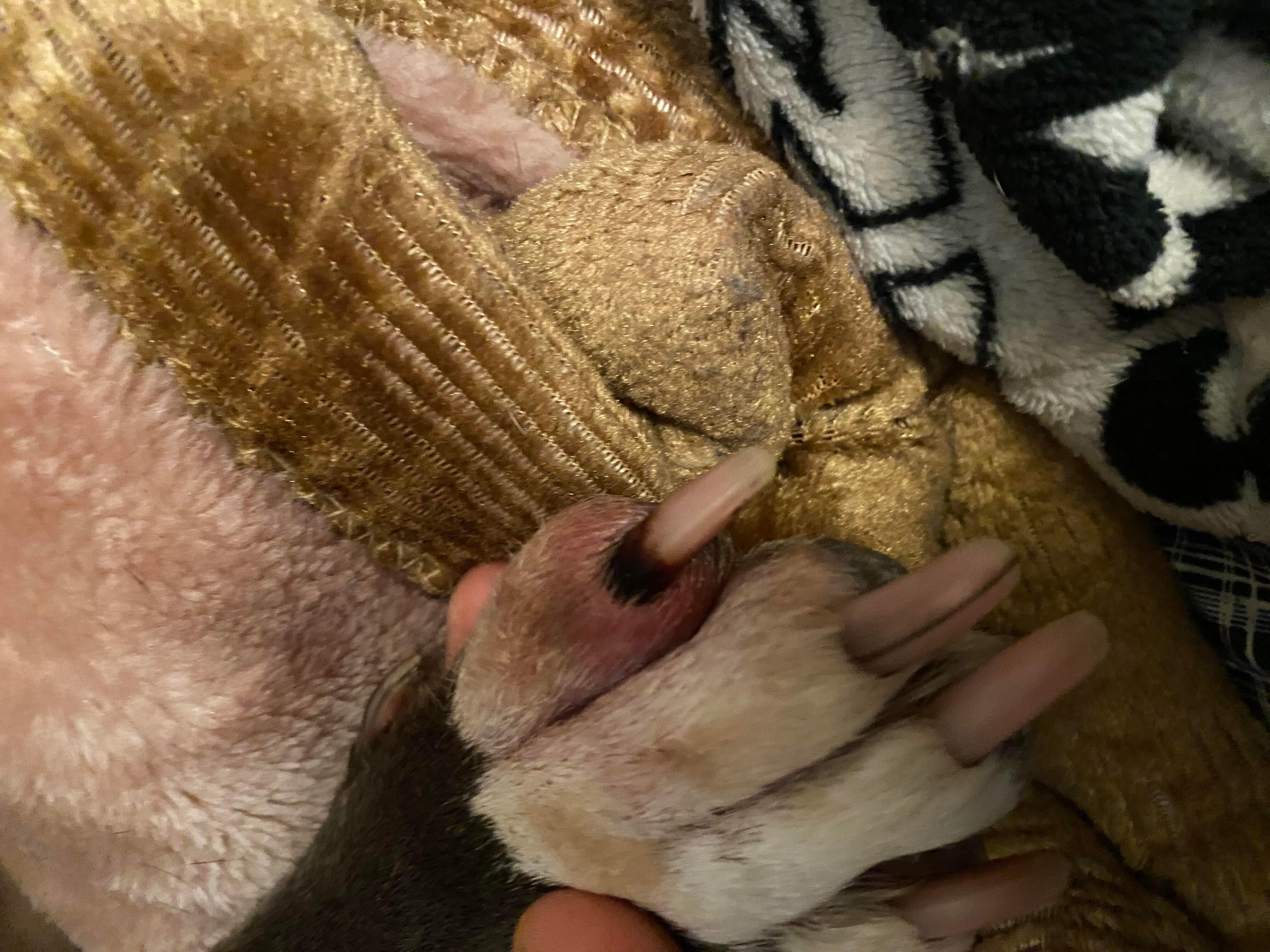 Question details sensitive content