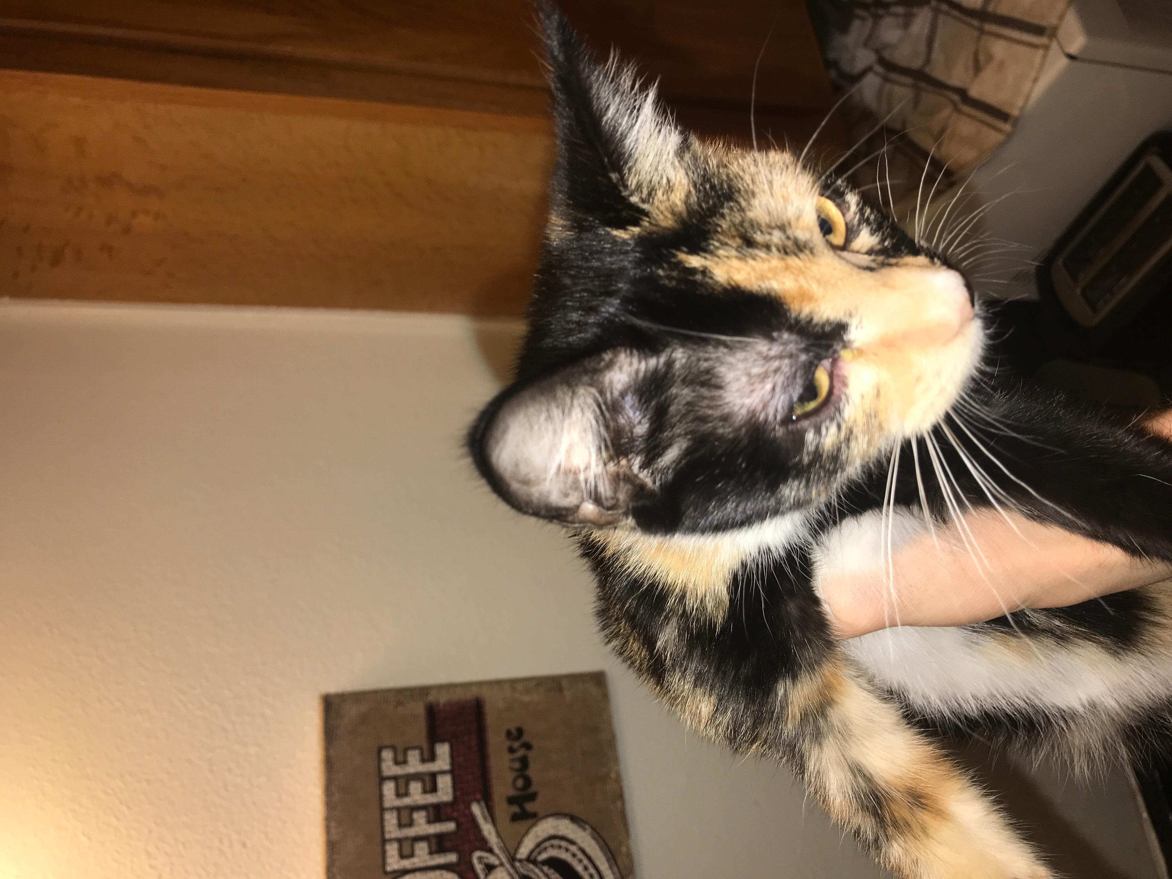 Question details sensitive content