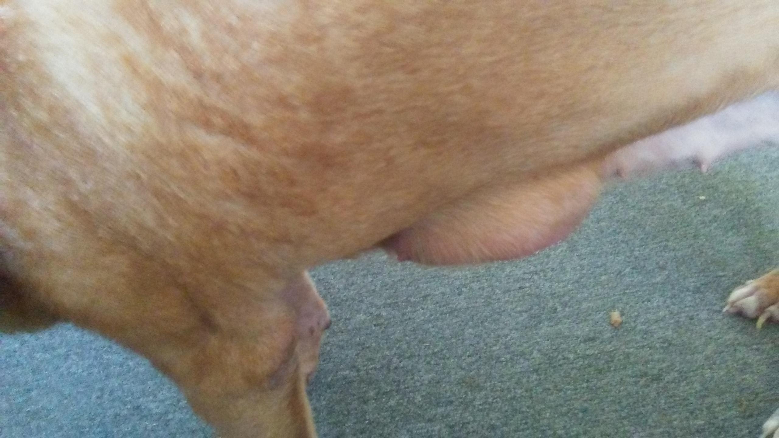 Question details sensitive content