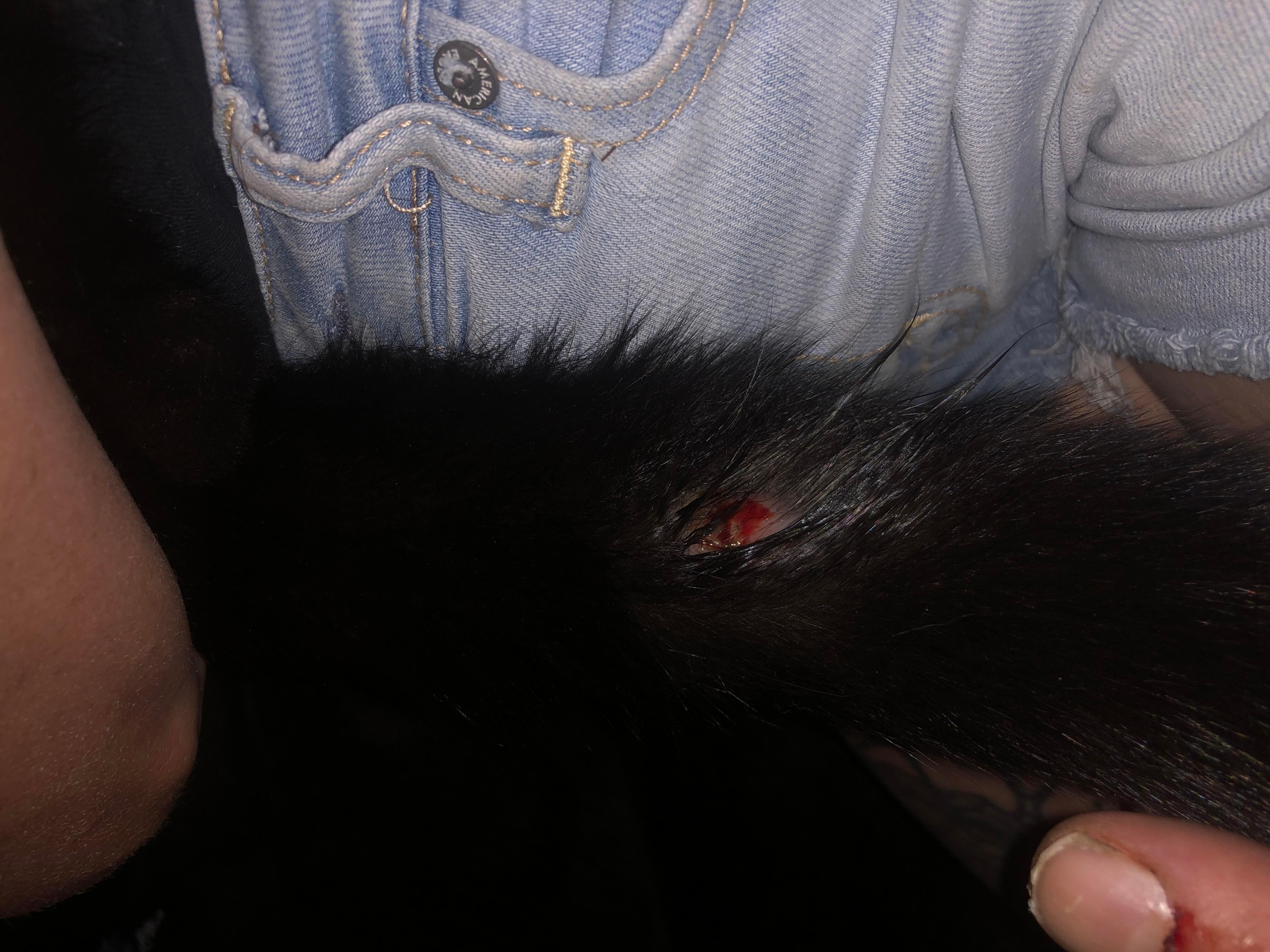 Question details sensitive content